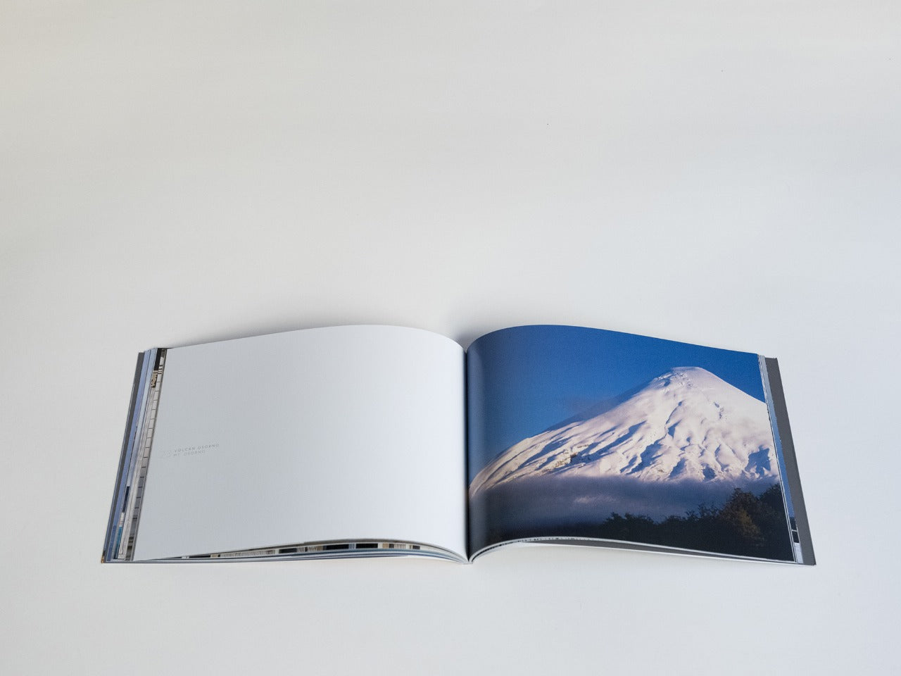 CHILE SIMPLEMENTE (tapa blanda)