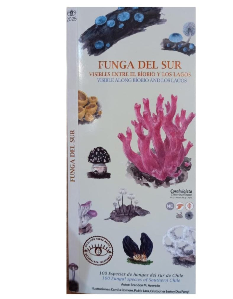 FUNGA DEL SUR 100 Especies