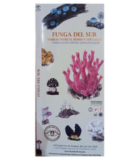 FUNGA DEL SUR 100 Especies