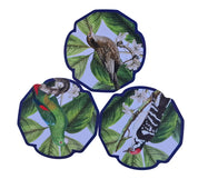 Set de 6 Individuales Pájaros – Colección “Creado x Coty Abbott"