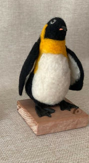 Pinguino Rey Ave Chilena