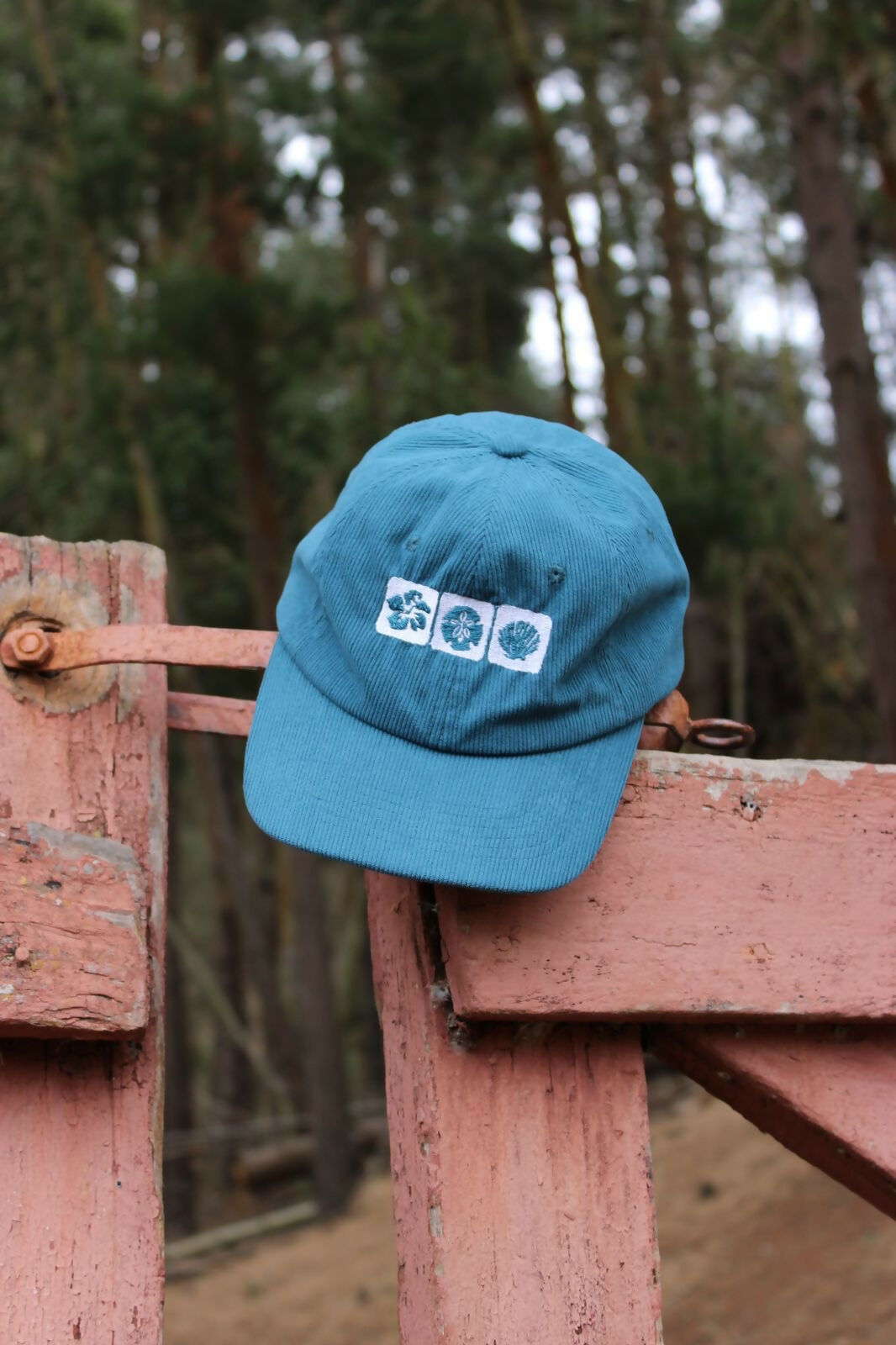 Jockey Conchas- Azul cotele