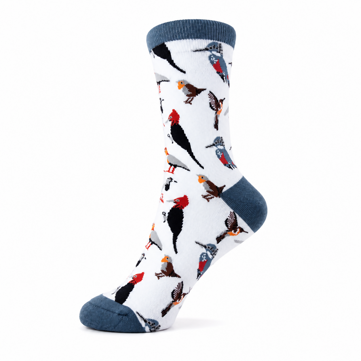 Calcetines con Diseño de Aves de Chile