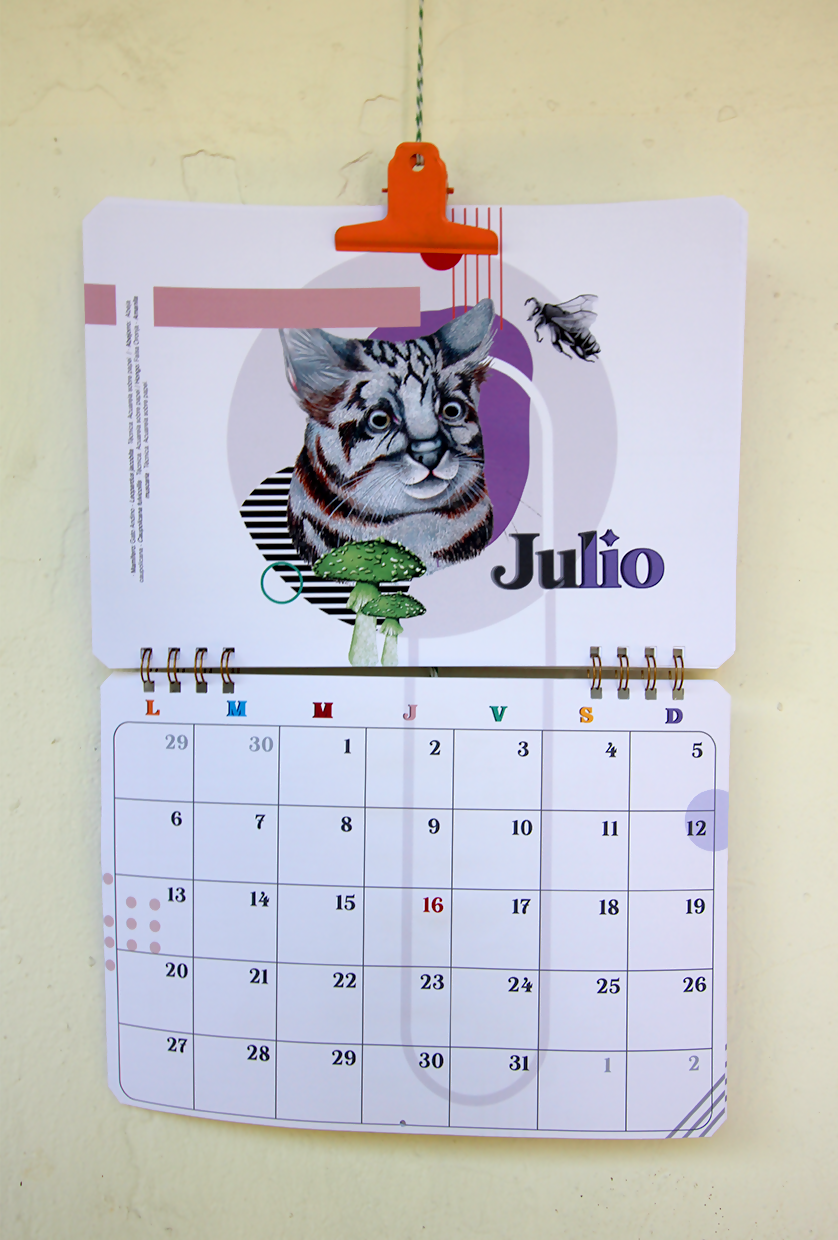 Calendario Muro 2026-2027