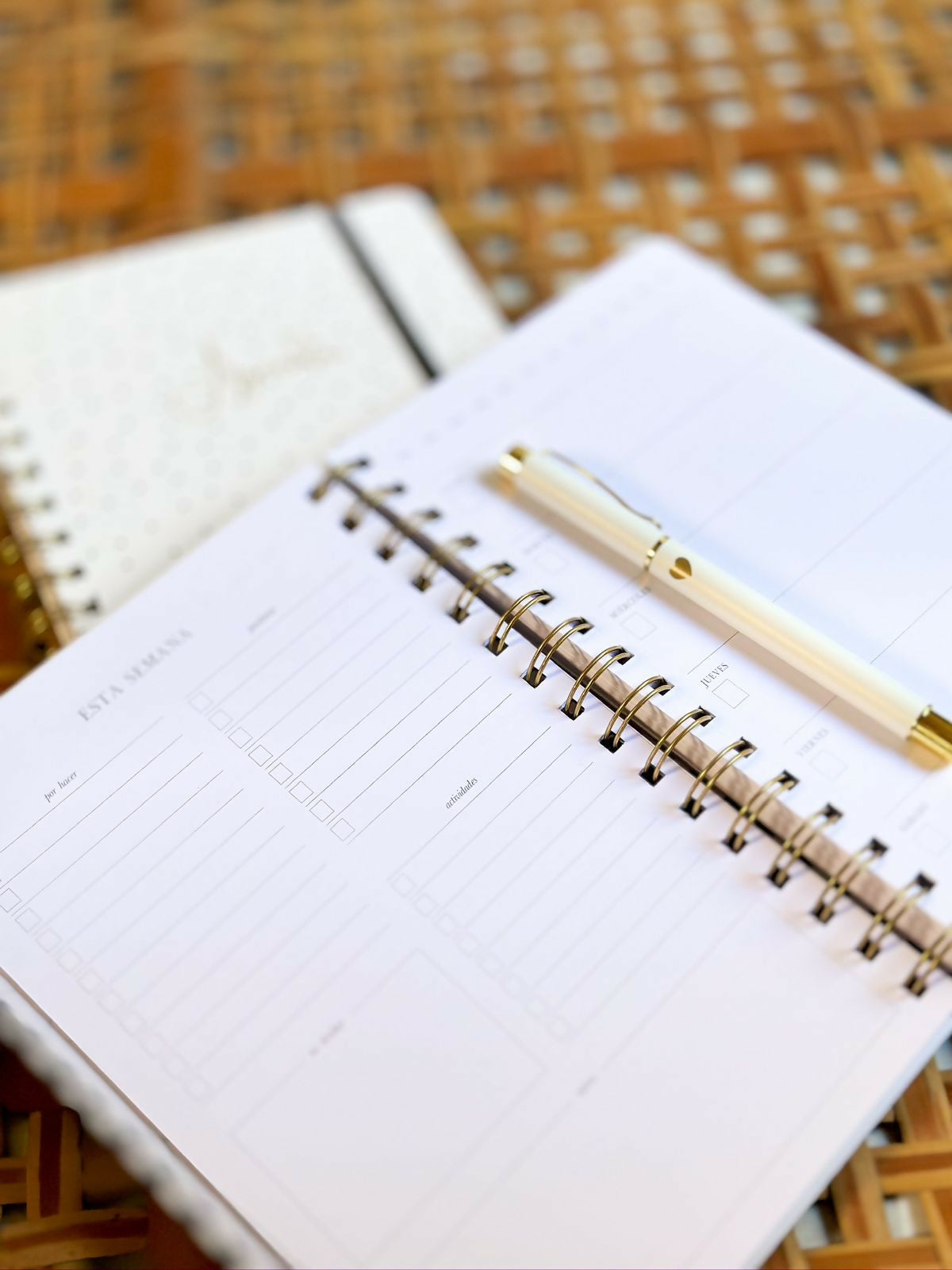 Agenda Anual Empastada Flores