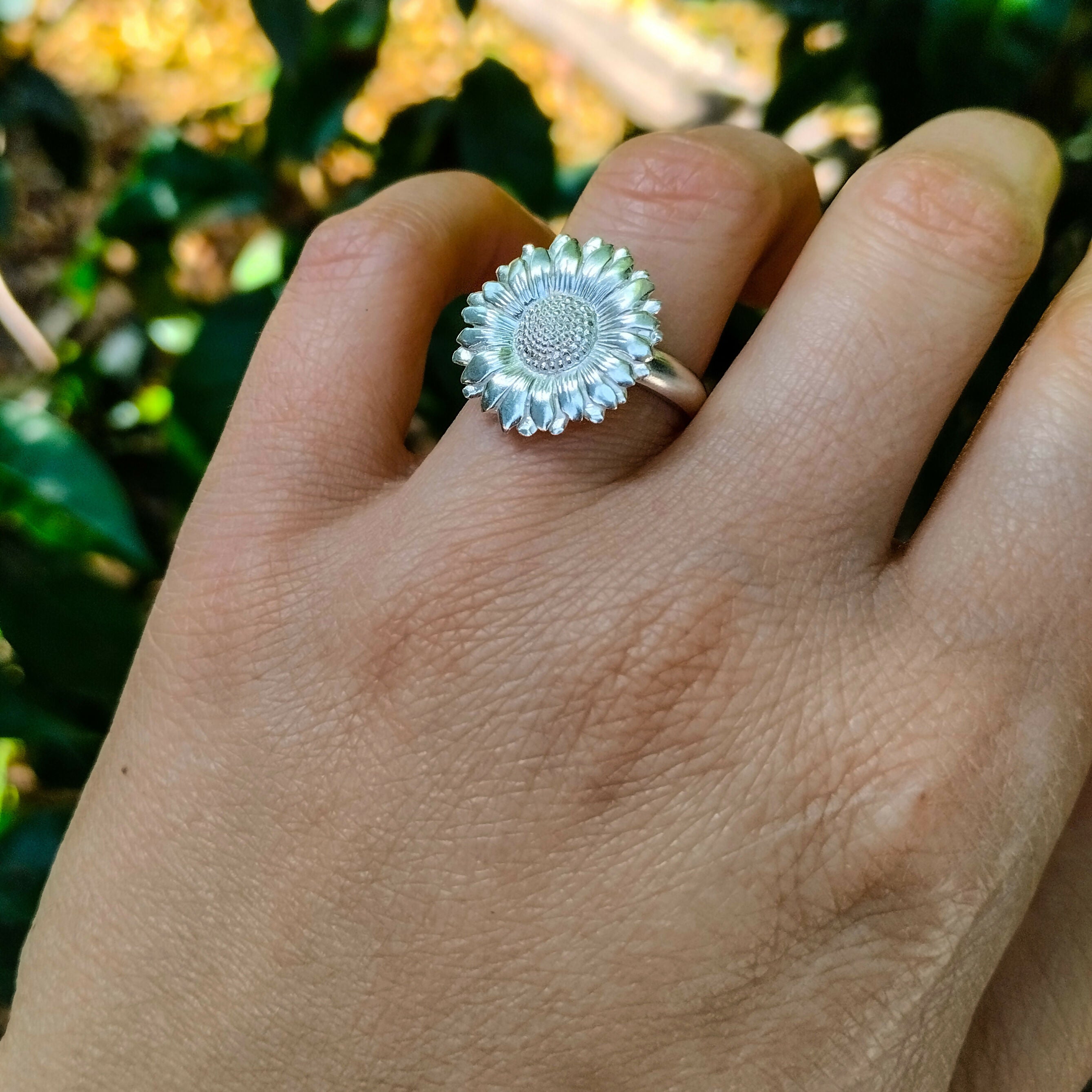 IMG_20241029_1604572