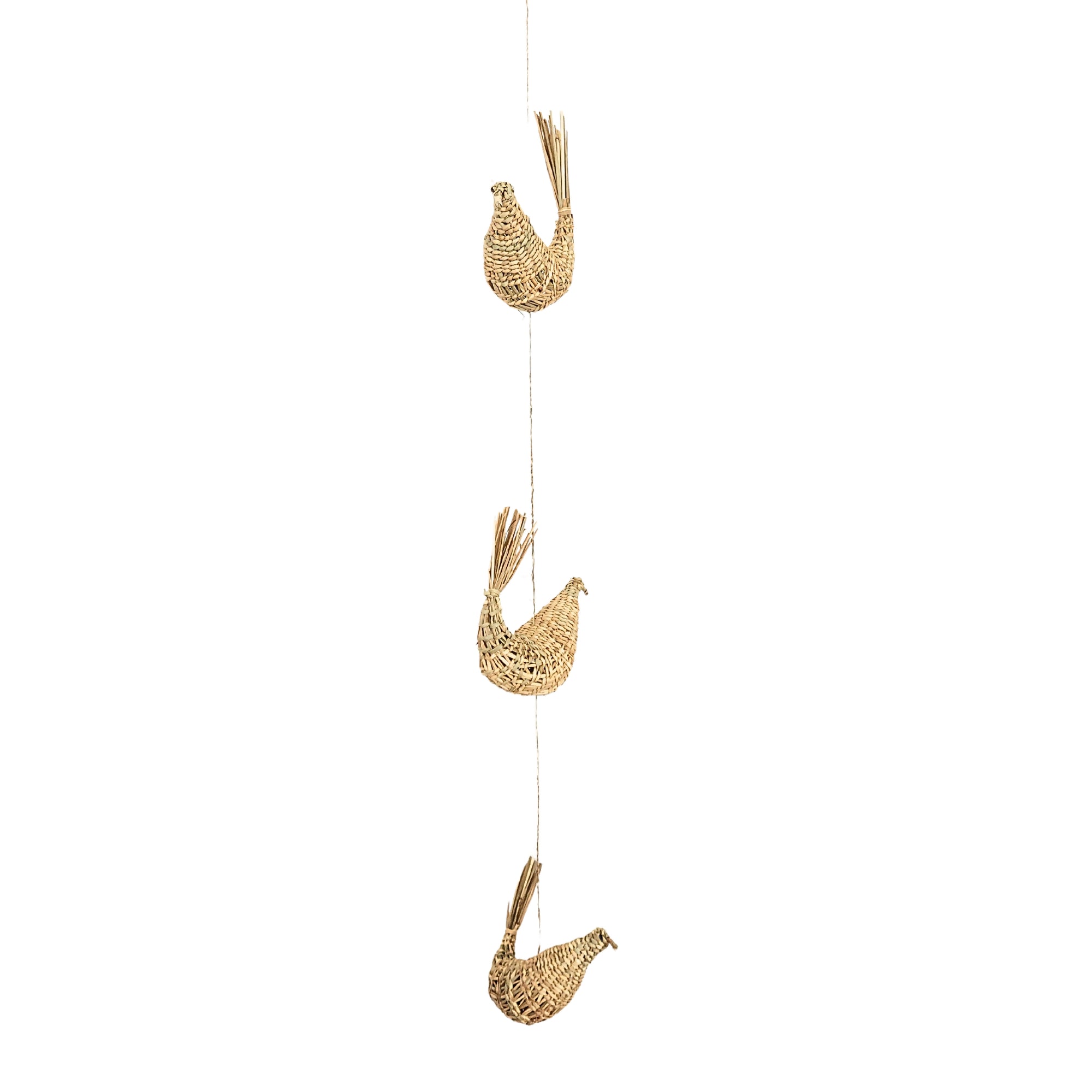 tira de palomas de junquillo