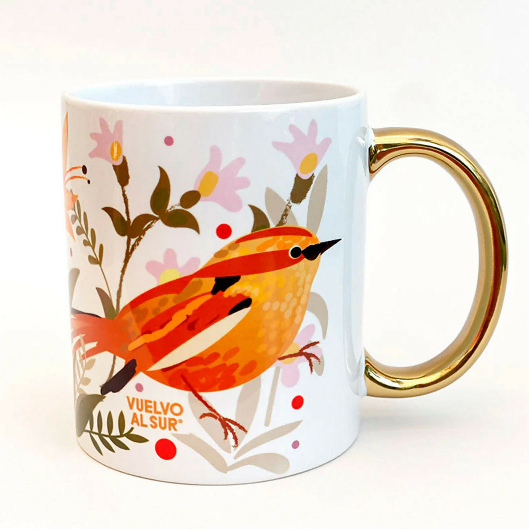 Rayadito y chercan 2