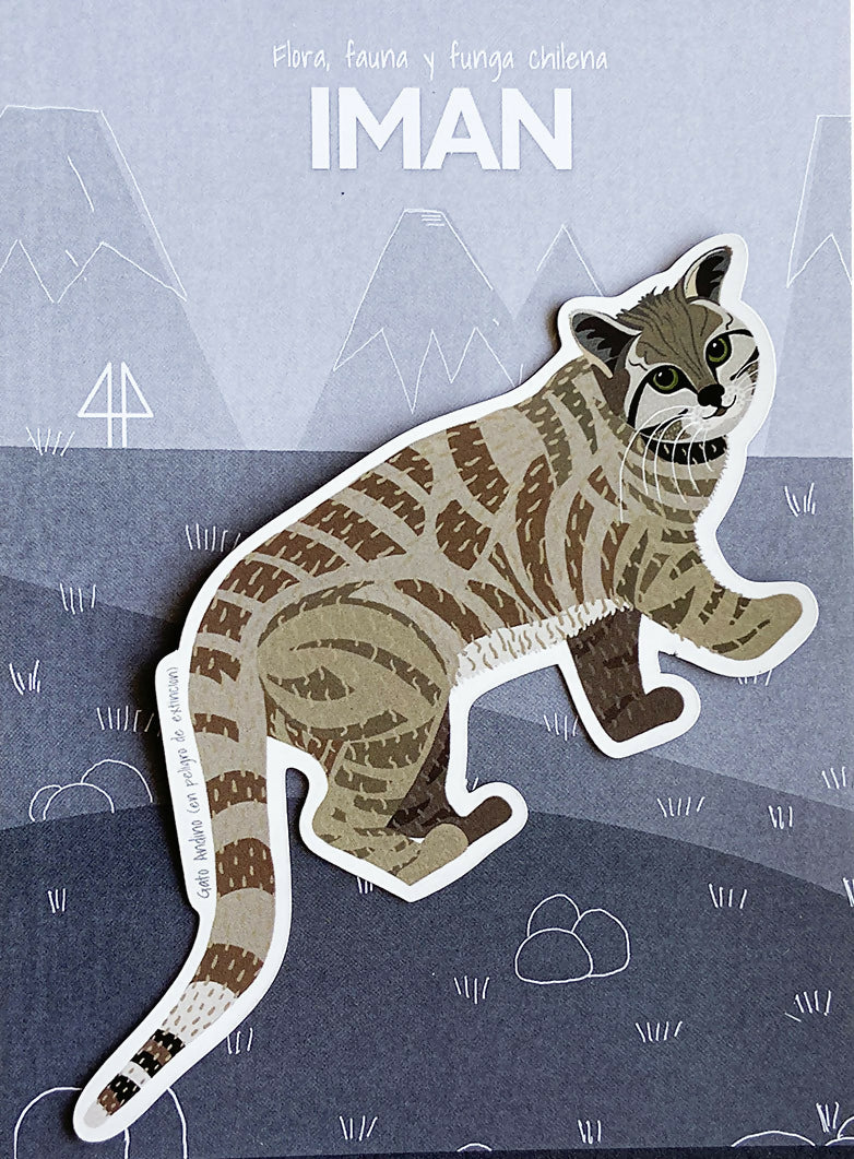 gato andino iman post reel