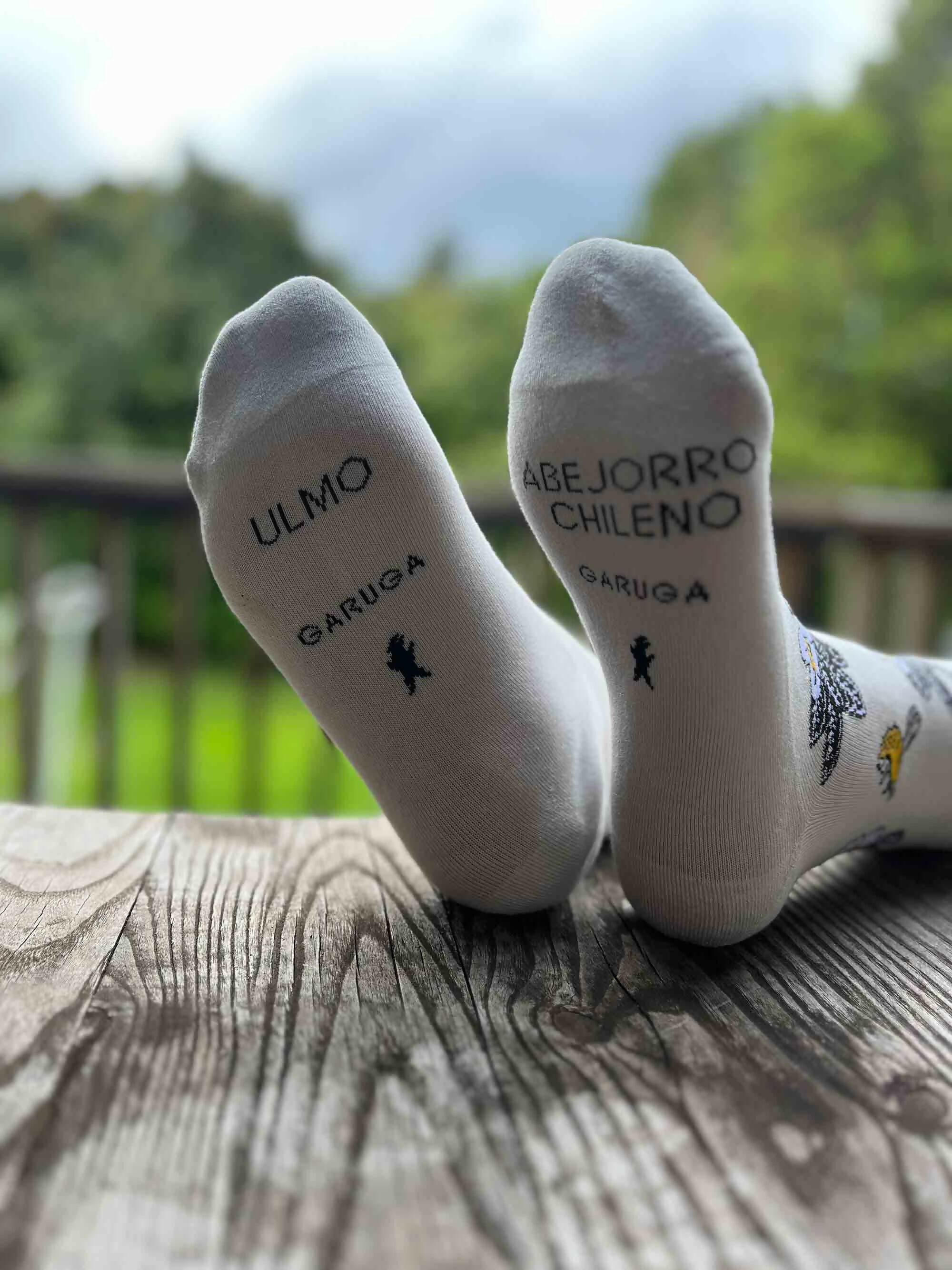 Calcetines con Diseño de Polinización Ulmo