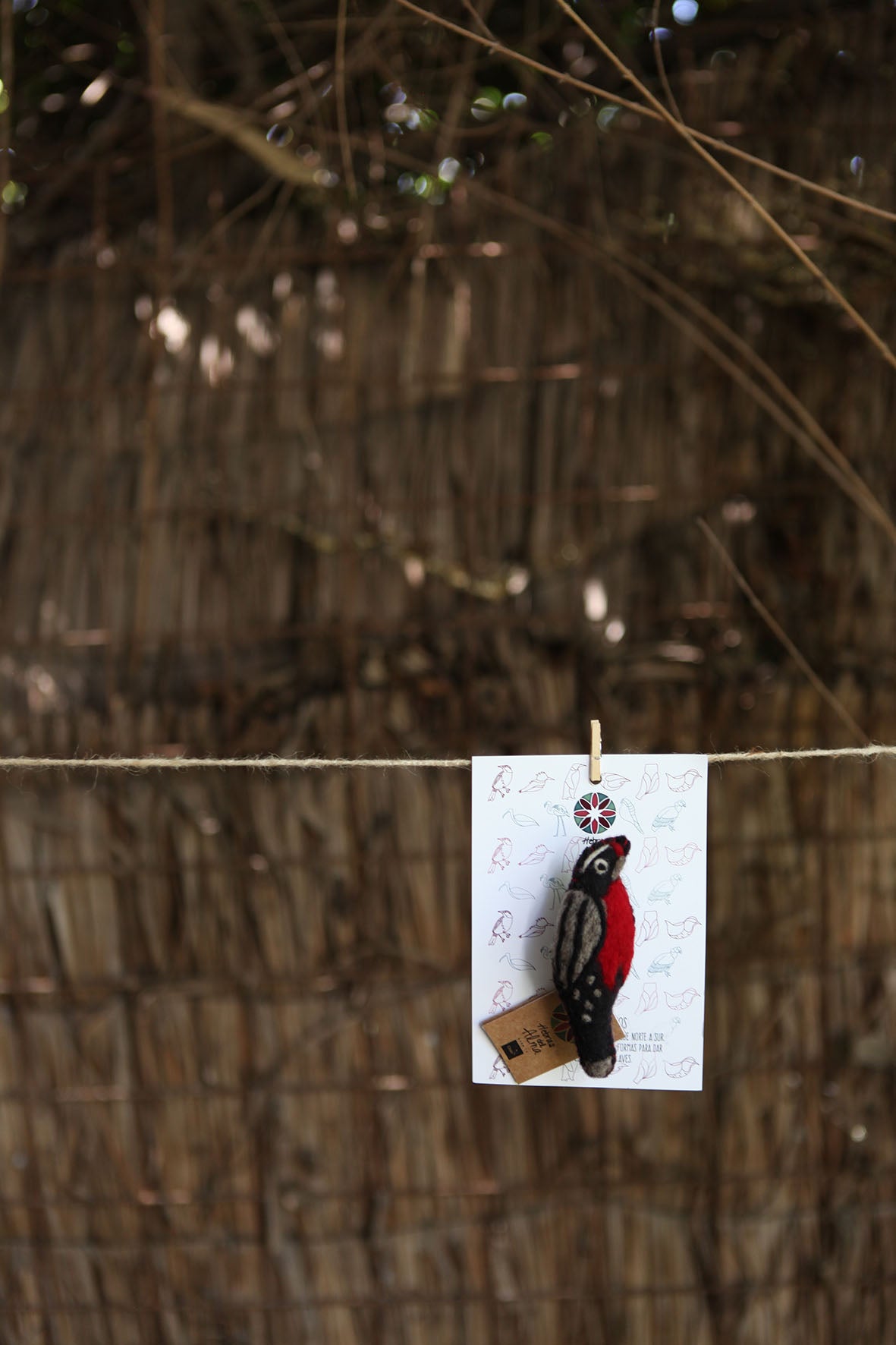 Pajarito prendedor Loica Negro