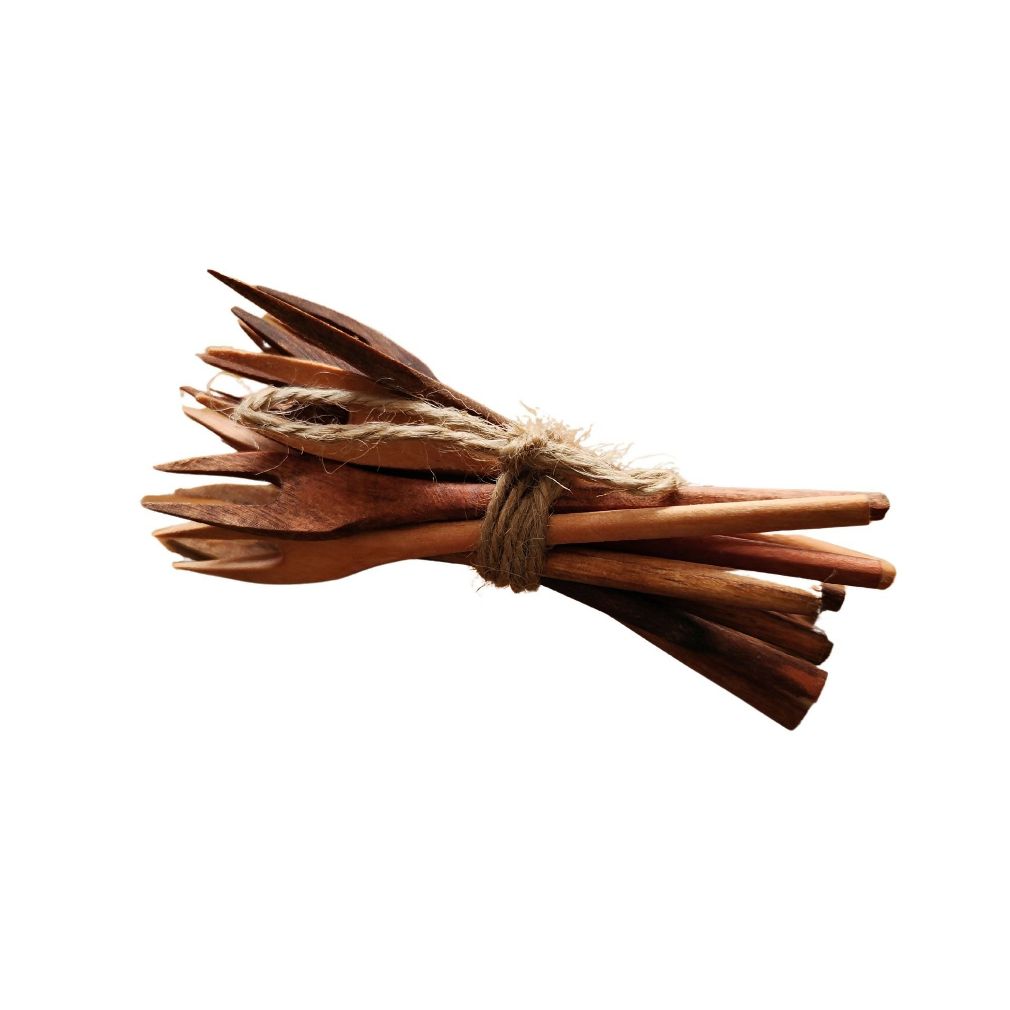 Set 12 Pinchos Gruesos II