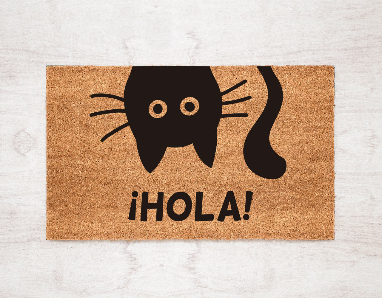 ¡Hola! Gato