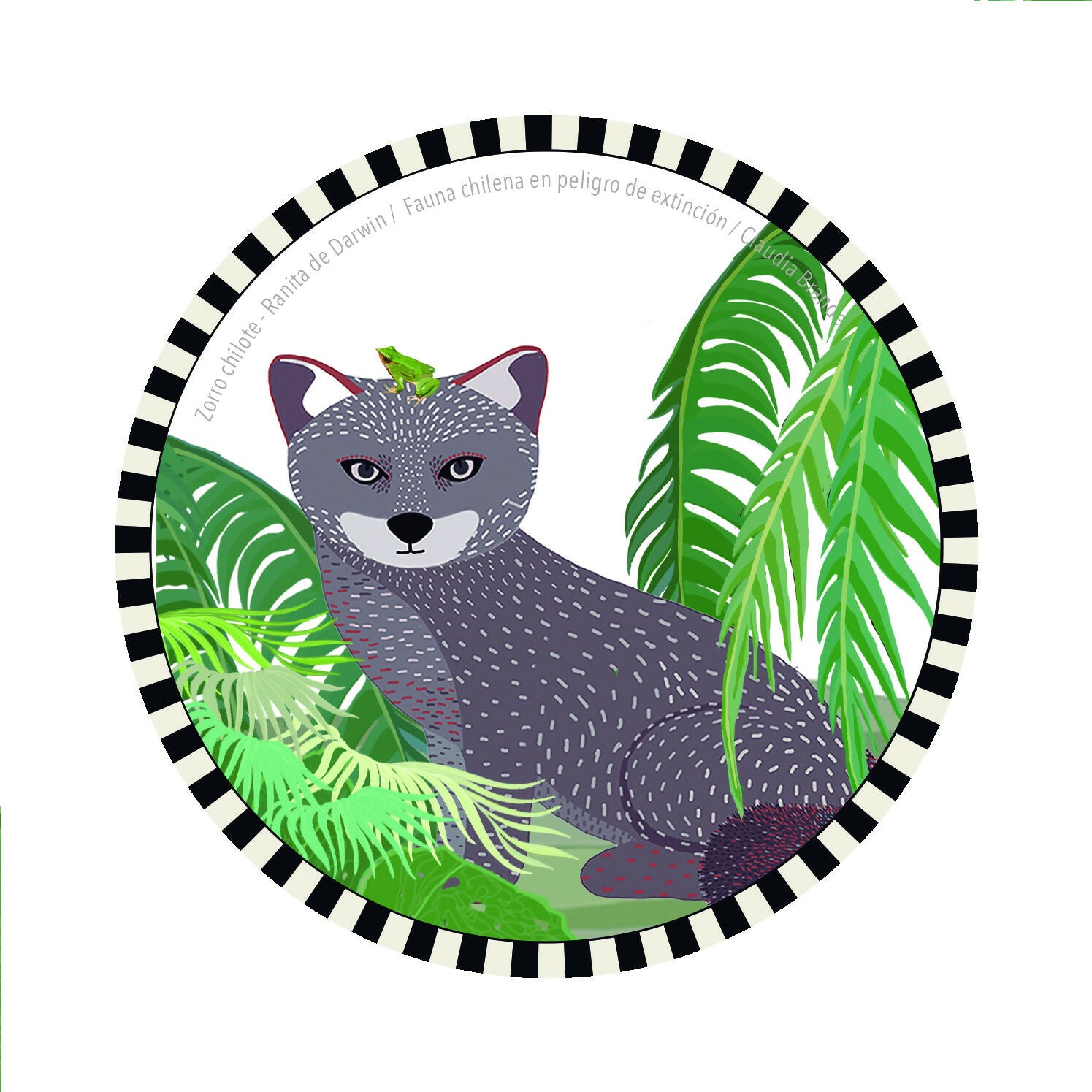 Set 6 Posavasos Fauna chilena en peligro (6 ilustraciones diferentes )
