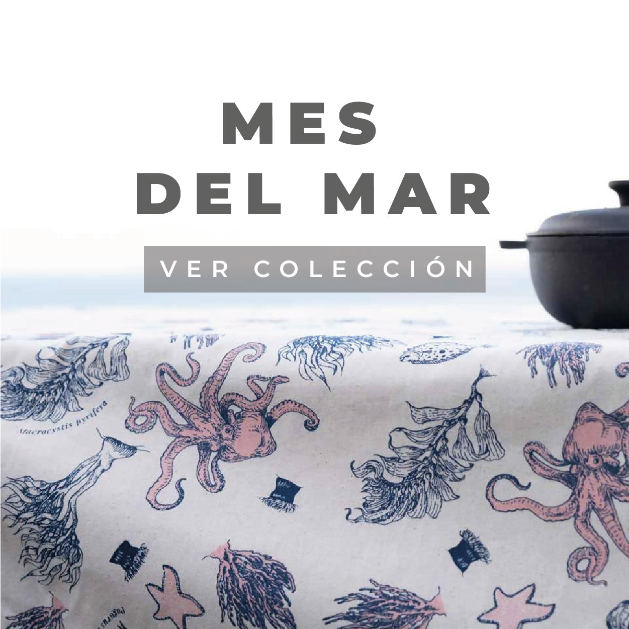 Mesa_de_trabajo_130.jpg