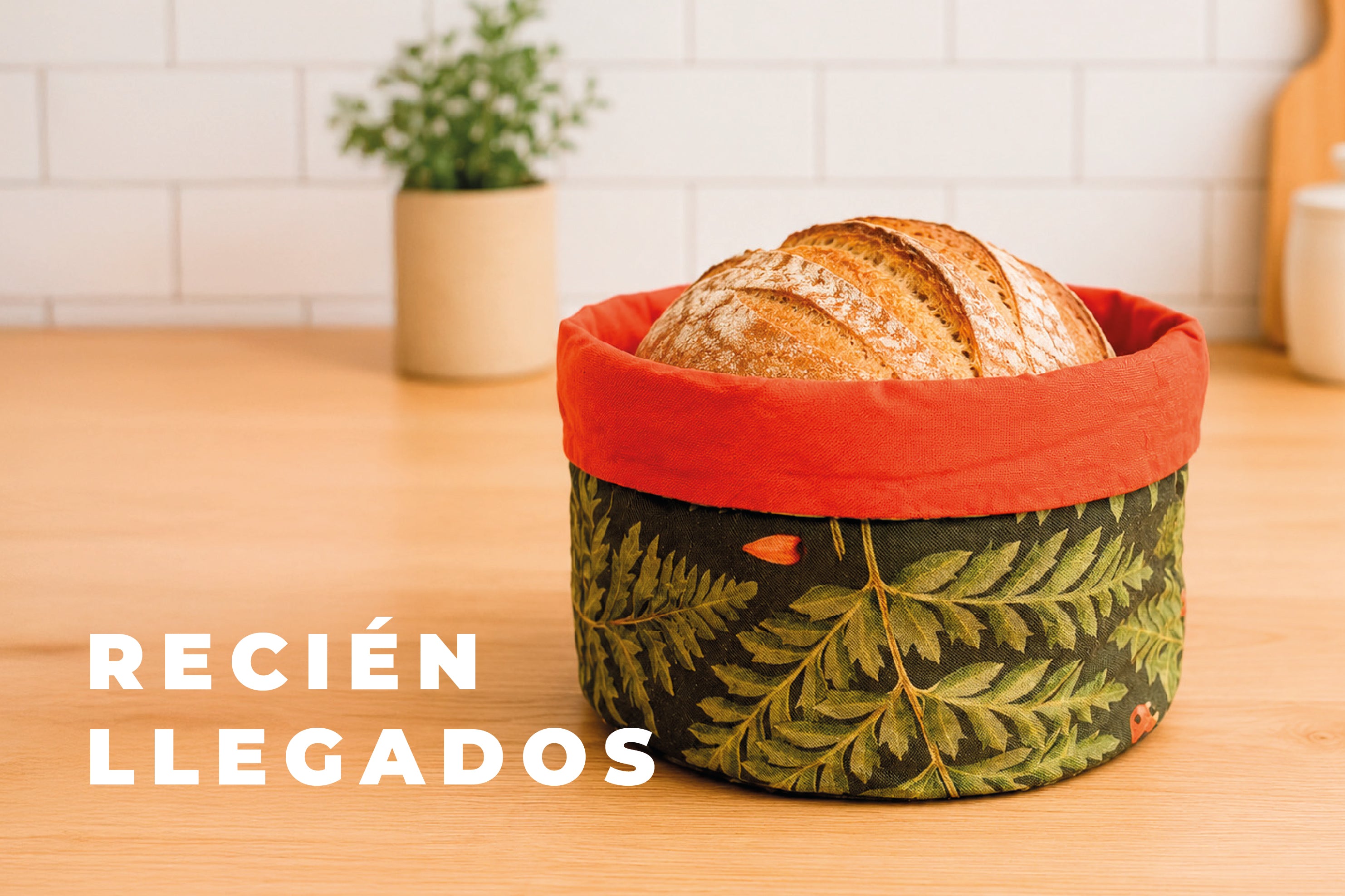 Mesa_de_trabajo_132_1.jpg