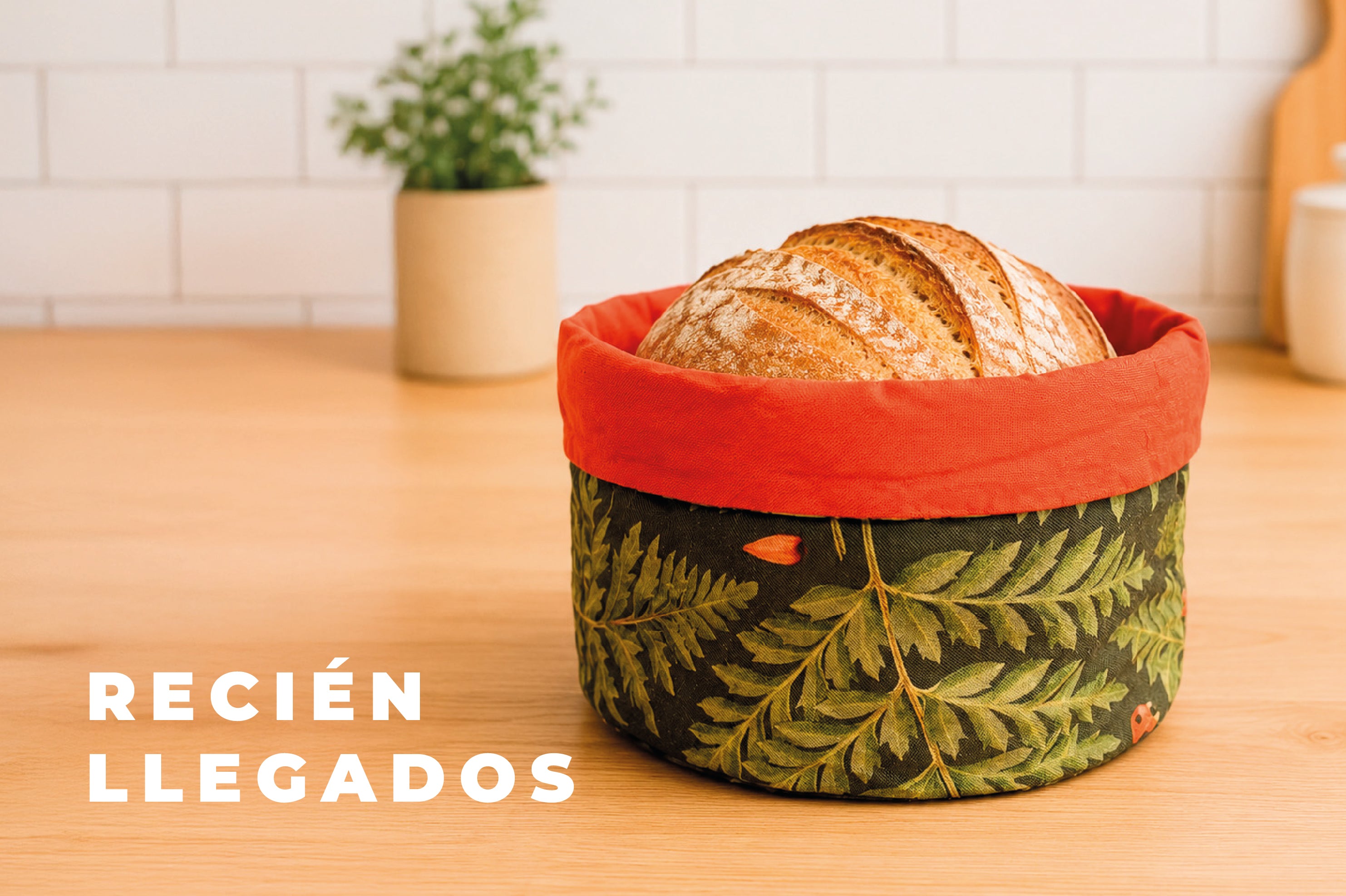 Mesa_de_trabajo_132_1_cddd6ad9-5e83-4447-a078-575d92c93ede.jpg