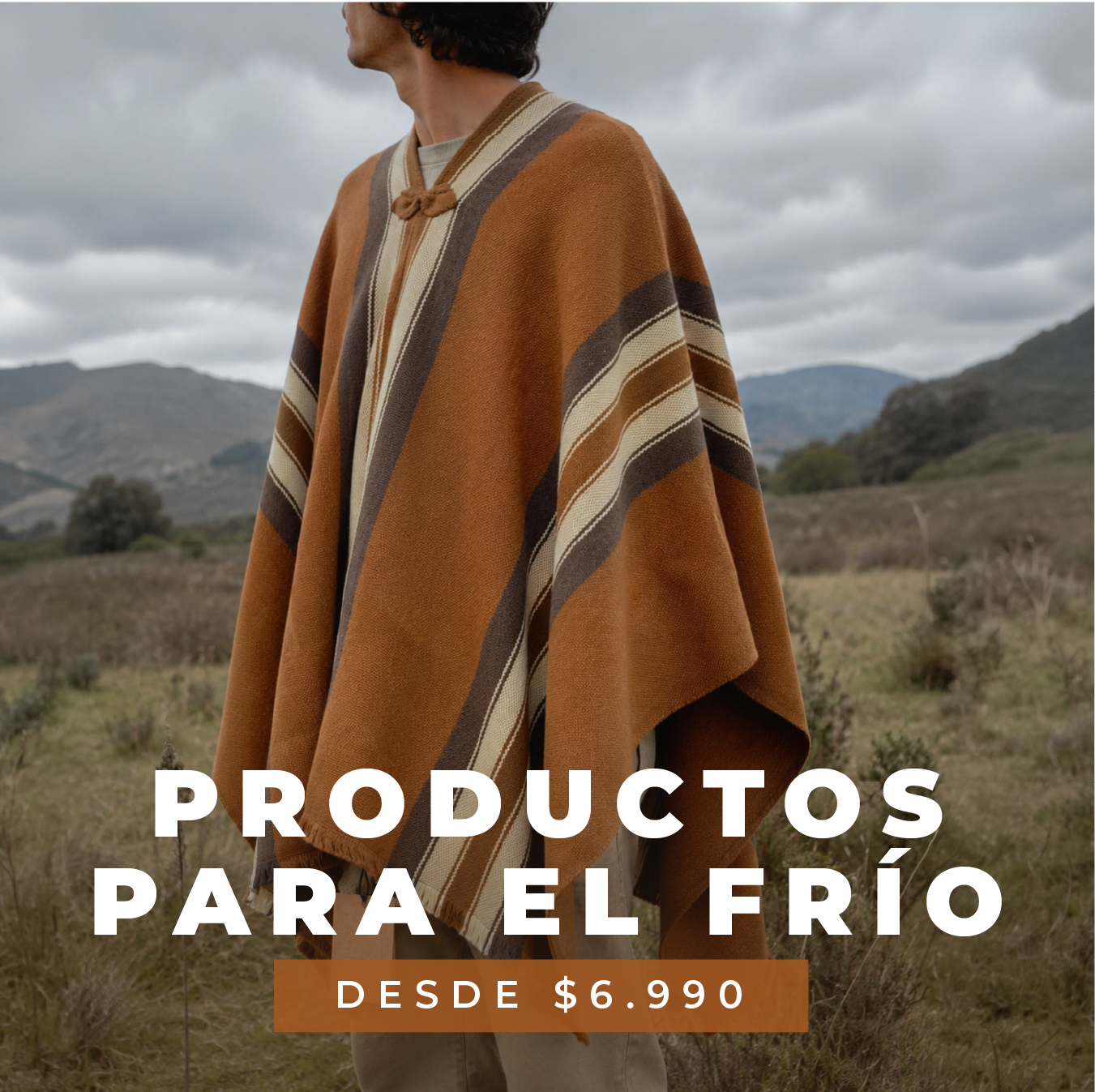 Mesa_de_trabajo_132_2.webp