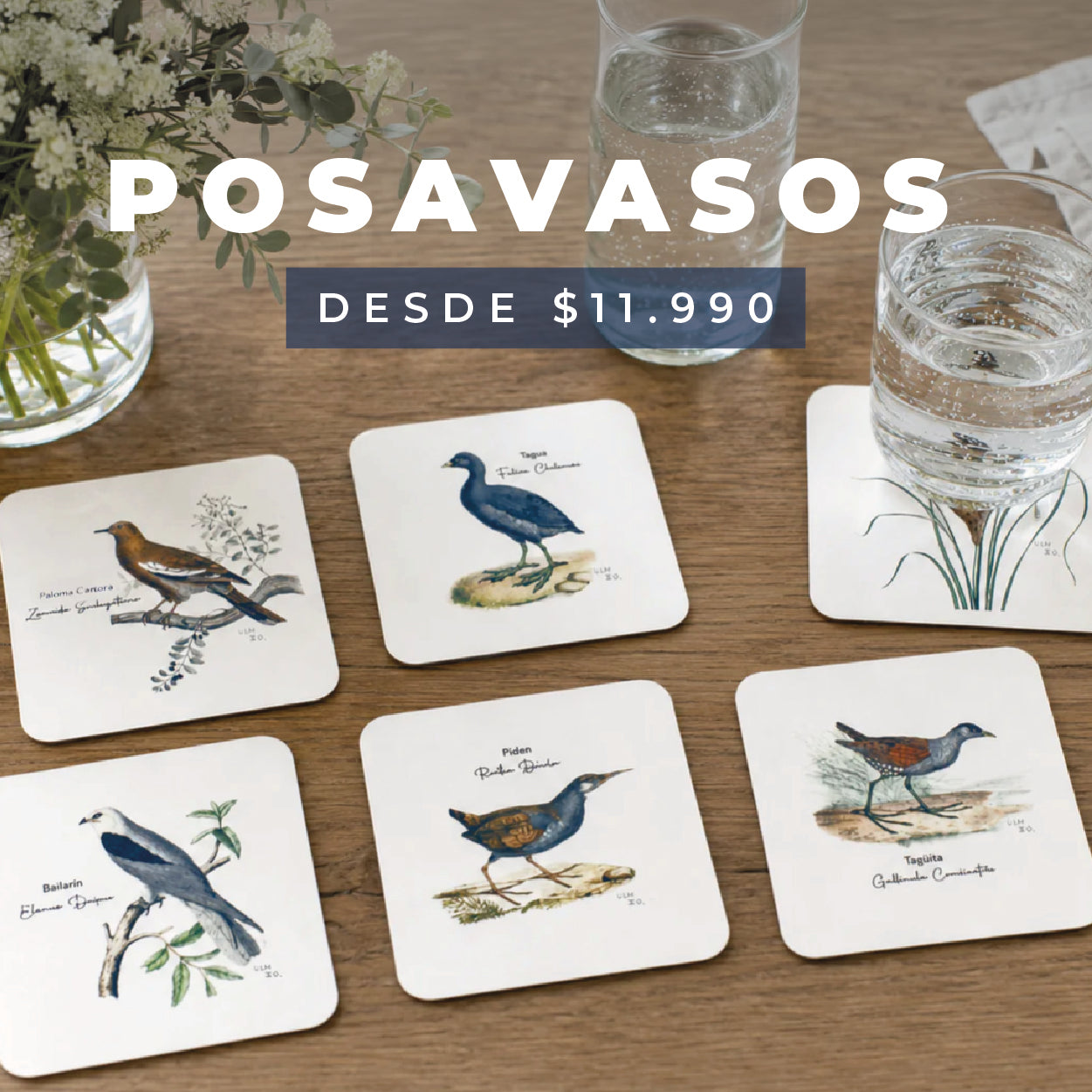 Mesa_de_trabajo_132_6b3f31a7-ef4d-4ea1-8a9f-f2a8793eea53.jpg