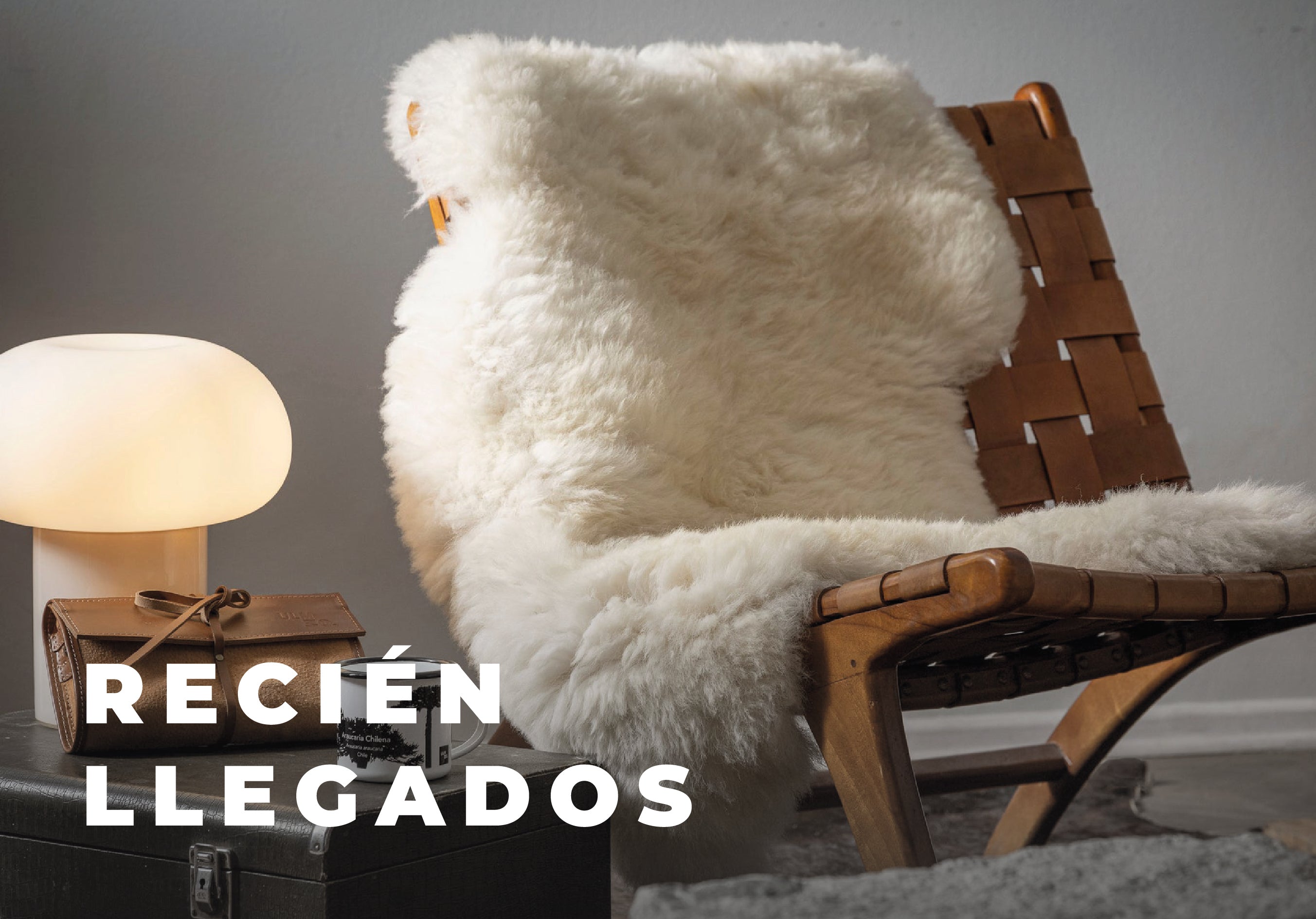 Mesa_de_trabajo_138_1cd5834a-8338-4431-94aa-84628decc85c.jpg