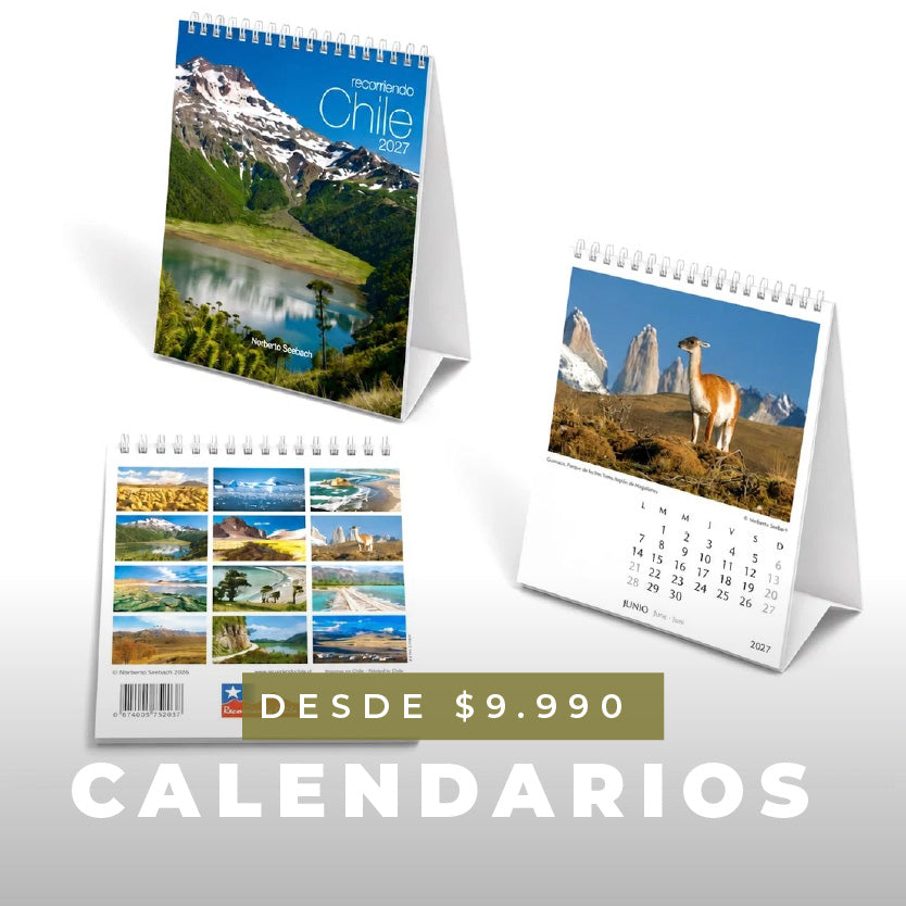 Mesa_de_trabajo_153_bd3eec2b-95e2-4a5e-bd4b-5a7259f9d5af.jpg