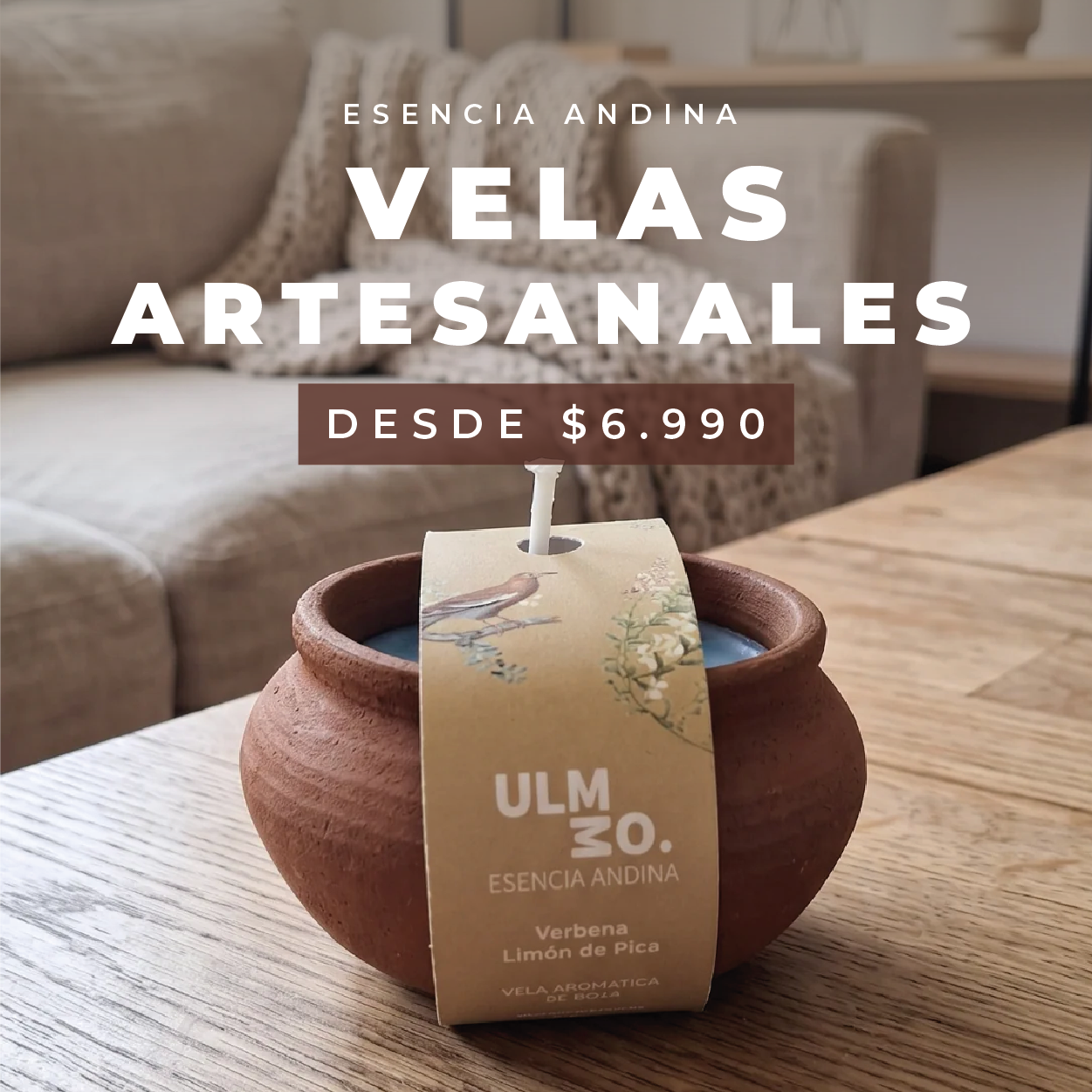 Mesa_de_trabajo_1_copia_19_300x_890d0137-21ad-4523-99b4-bad30a9ec012.png