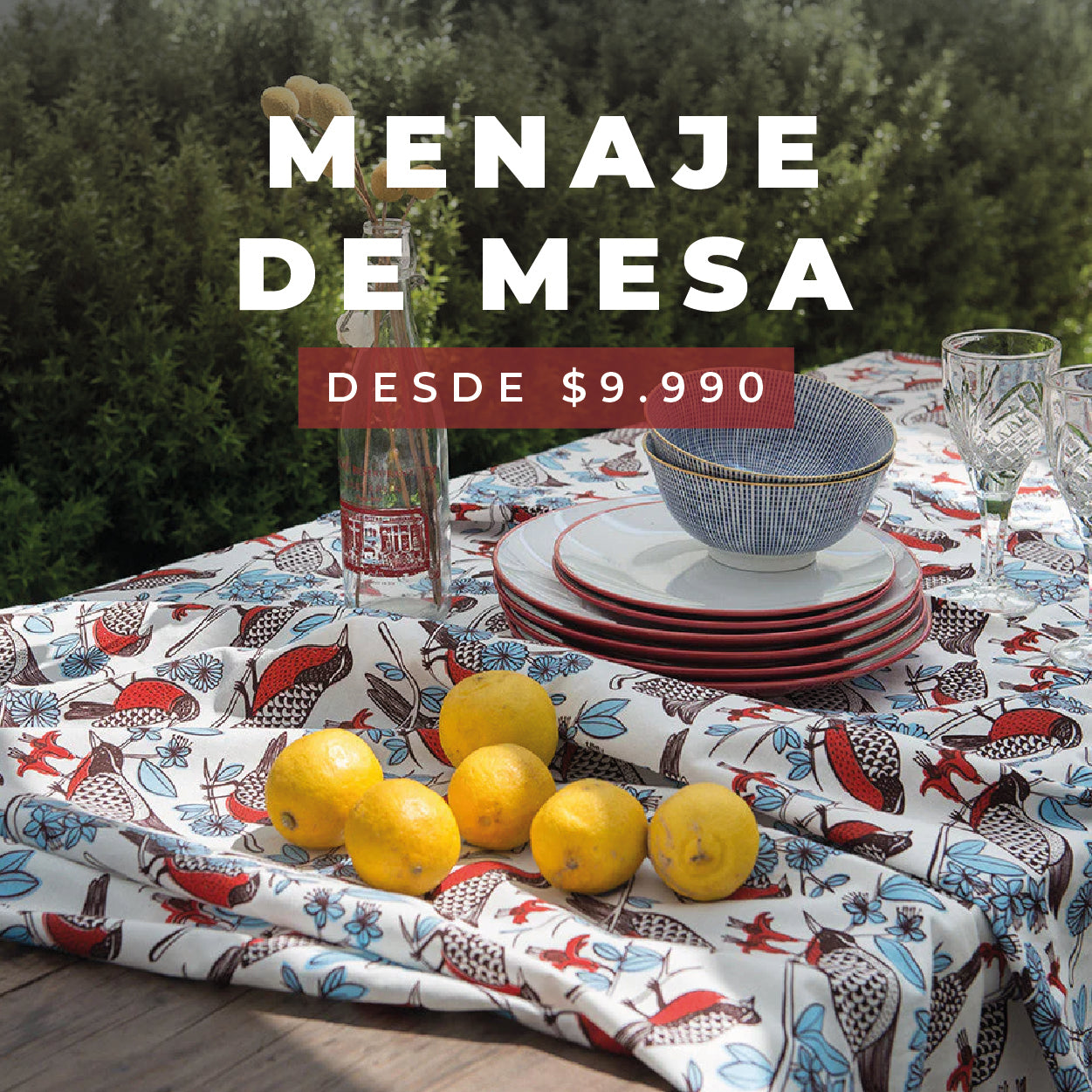 Mesa_de_trabajo_1_copia_19_dfd0fb7c-c235-4834-bac4-8e0b294ced44.jpg