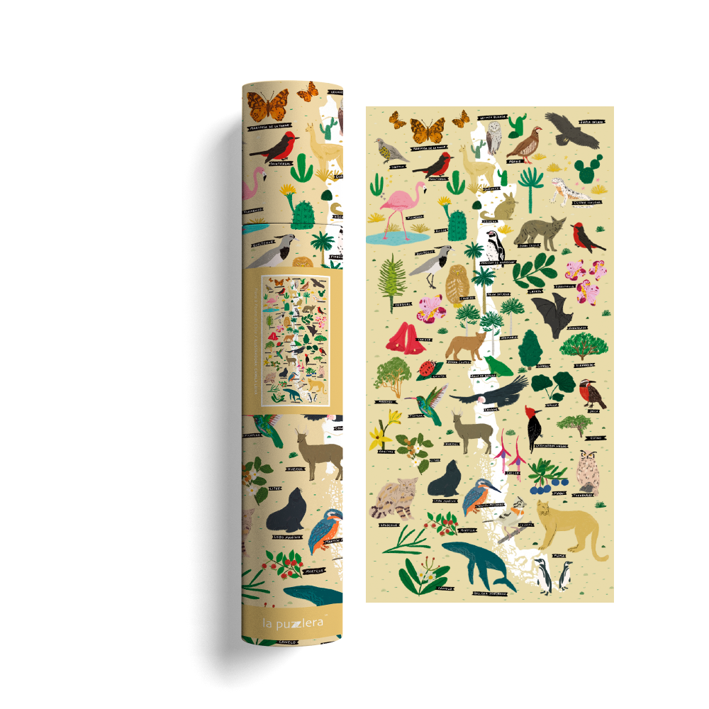 Mapa Ilustrado Flora y Fauna  de Chile