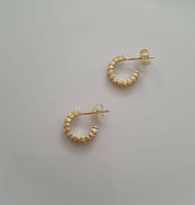 WhatsApp Image 2025-01-13 at 18.53.01