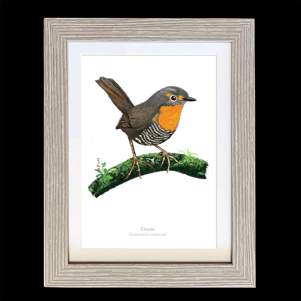 CUADRO CHUCAOA1 VGO con paspartu NEGRO.jpg