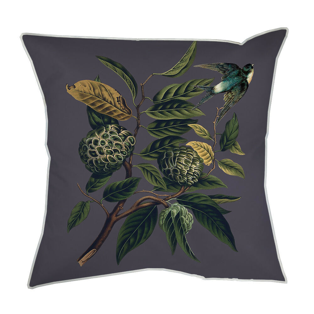 CJ45VC_Pangui_Golondrina