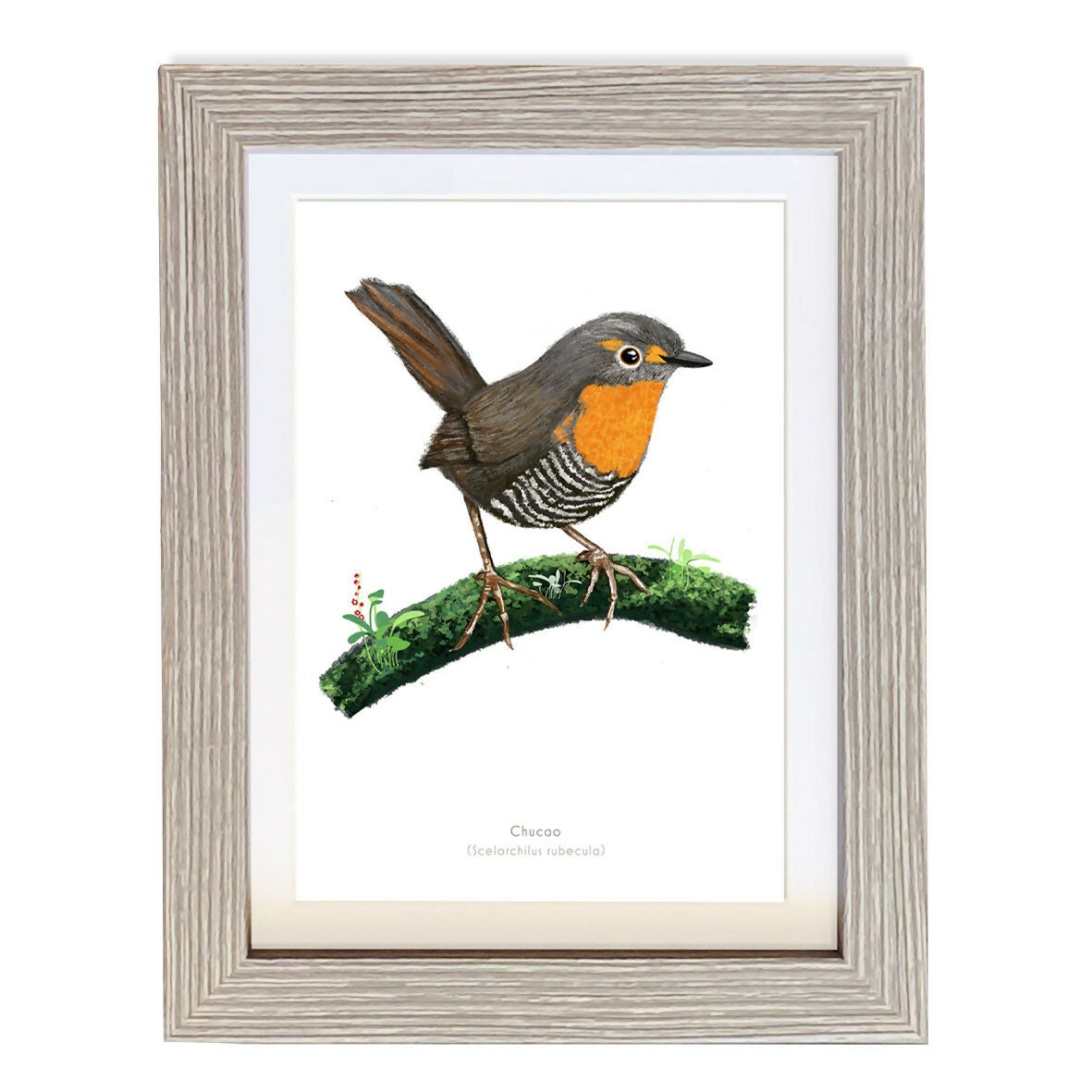 CUADRO CHUCAO A1 VGO con paspartu copia.jpg