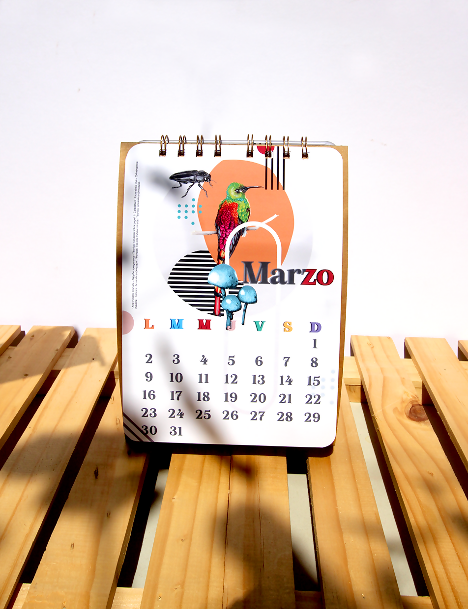 Calendario Escritorio 2026-2027