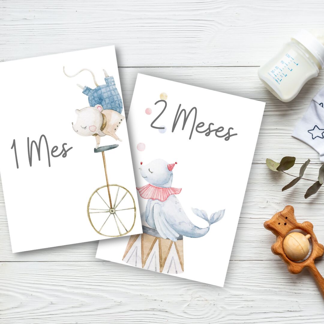 Tarjetas Meses Bebé "Circus"