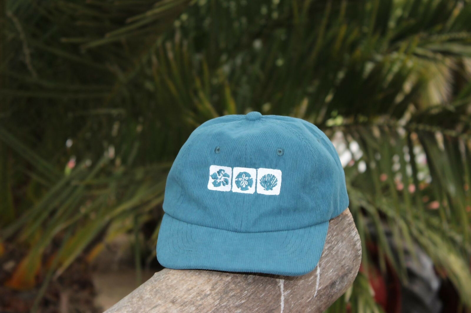 Jockey Conchas- Azul cotele