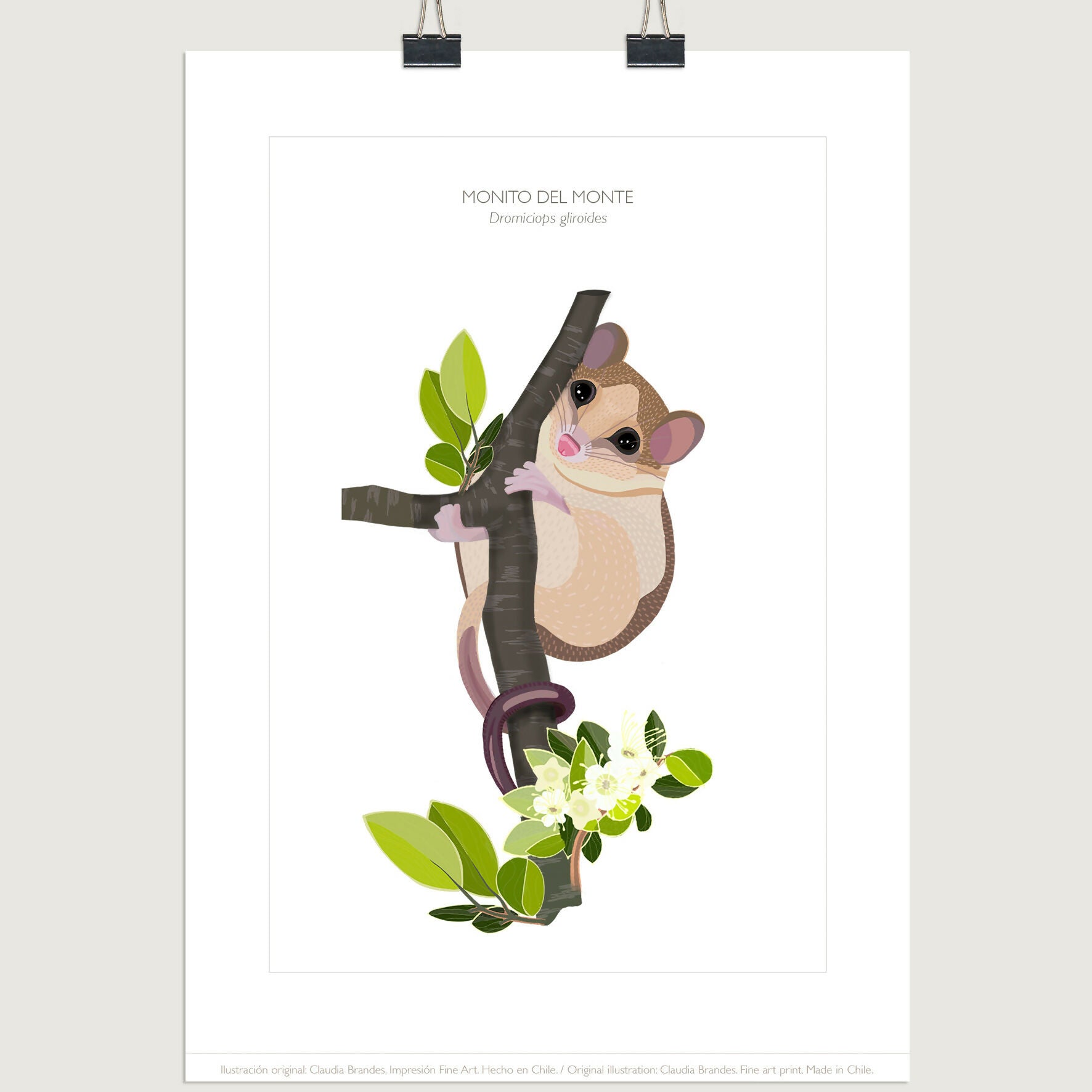 30X40 MONITO POST