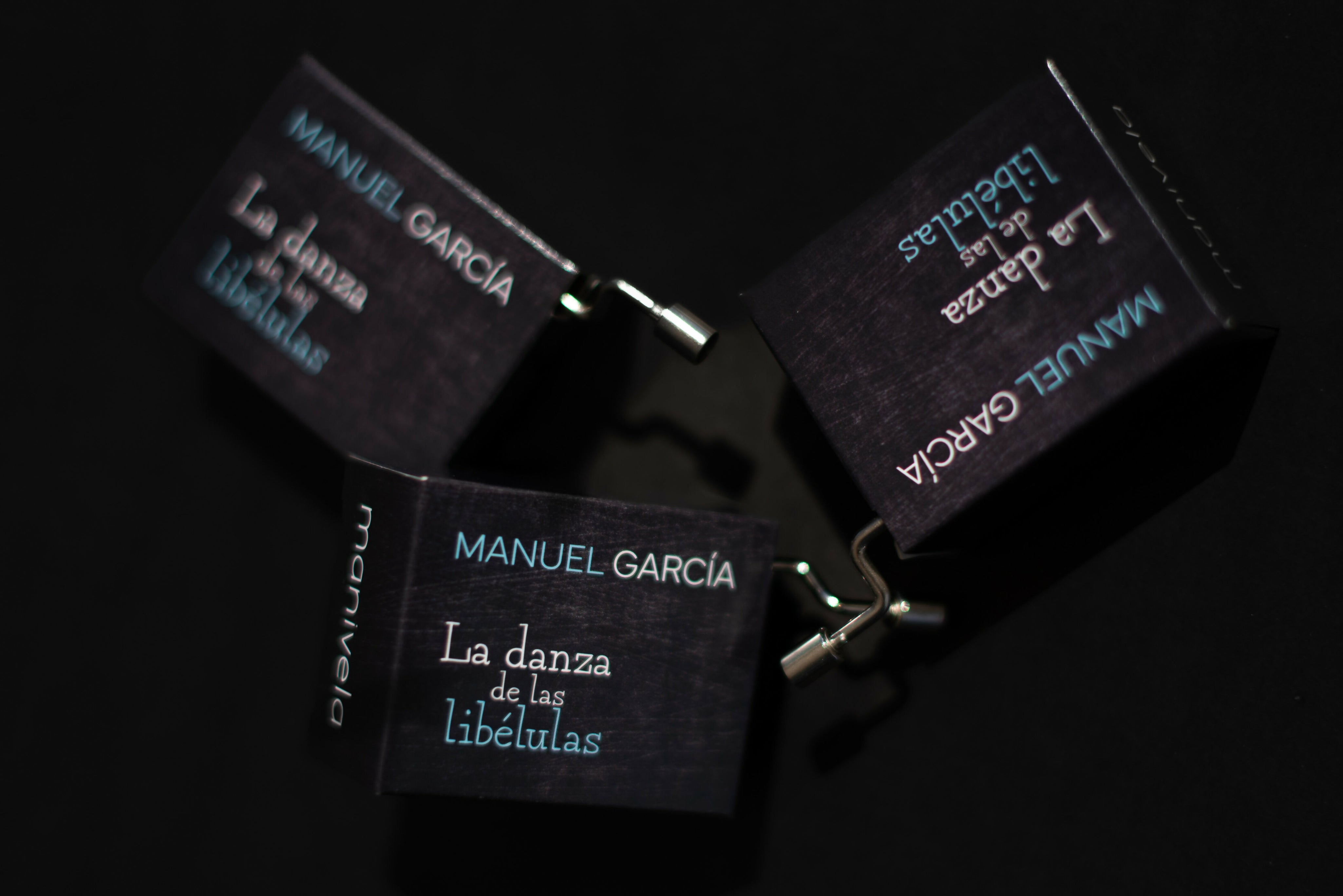 Danza de las Libélulas ambientadas-8