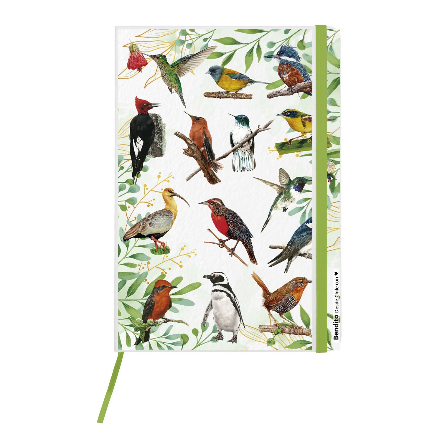 Cuaderno-aves-def