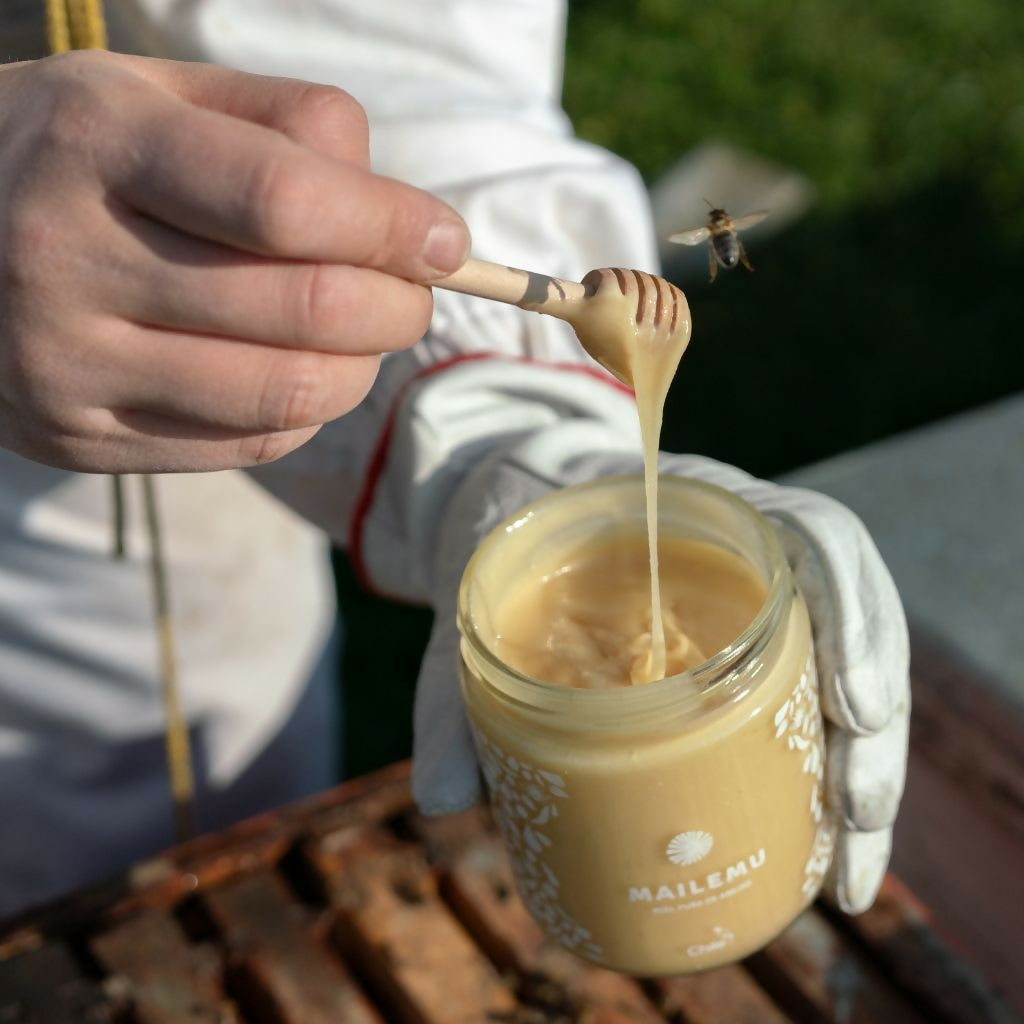 Diseño sin título (7)