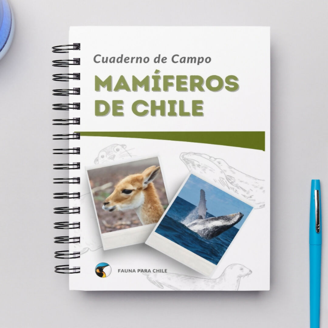 Cuaderno de Campo Mamíferos de Chile