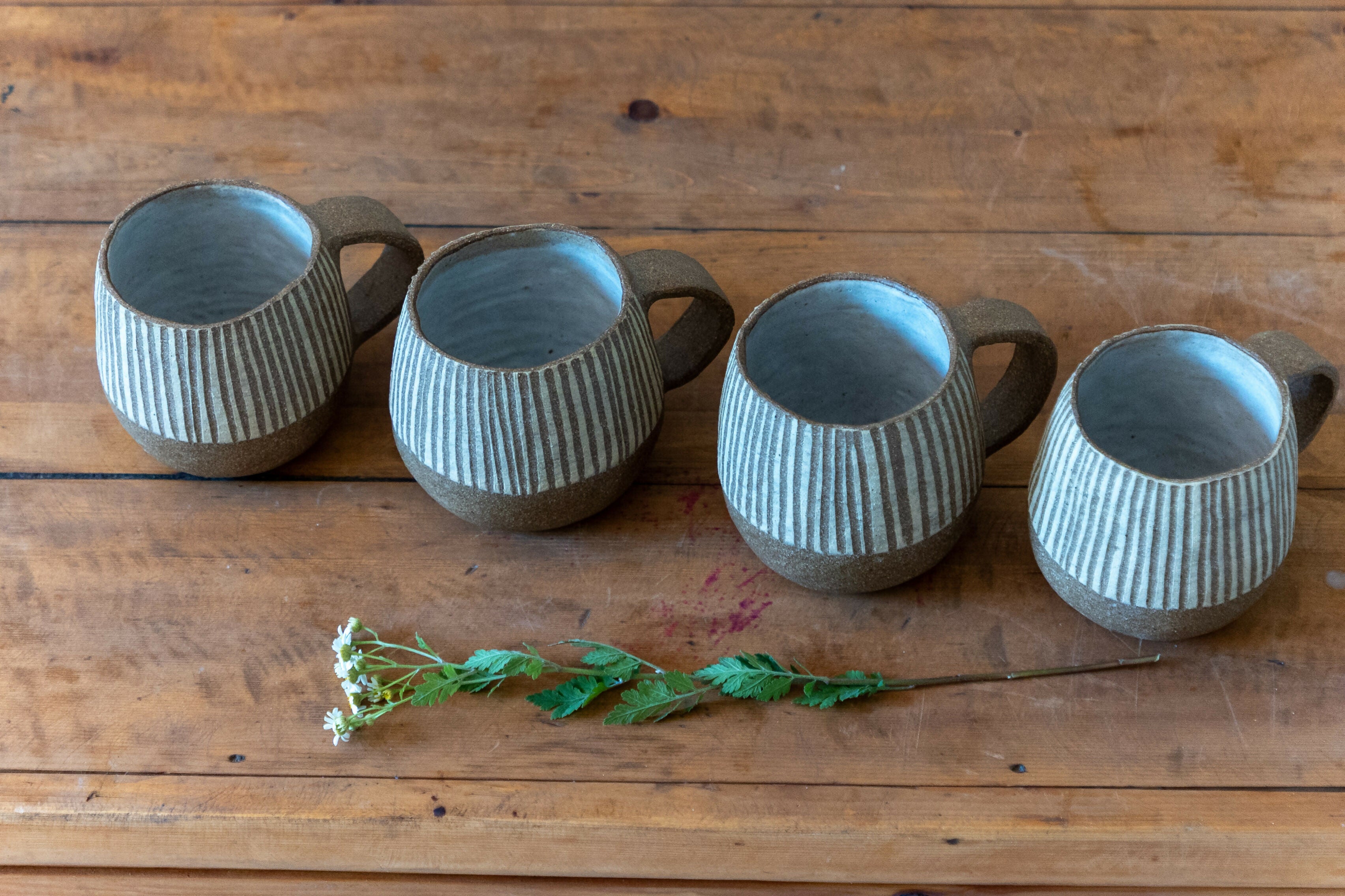 Tazón Engobe Blanco