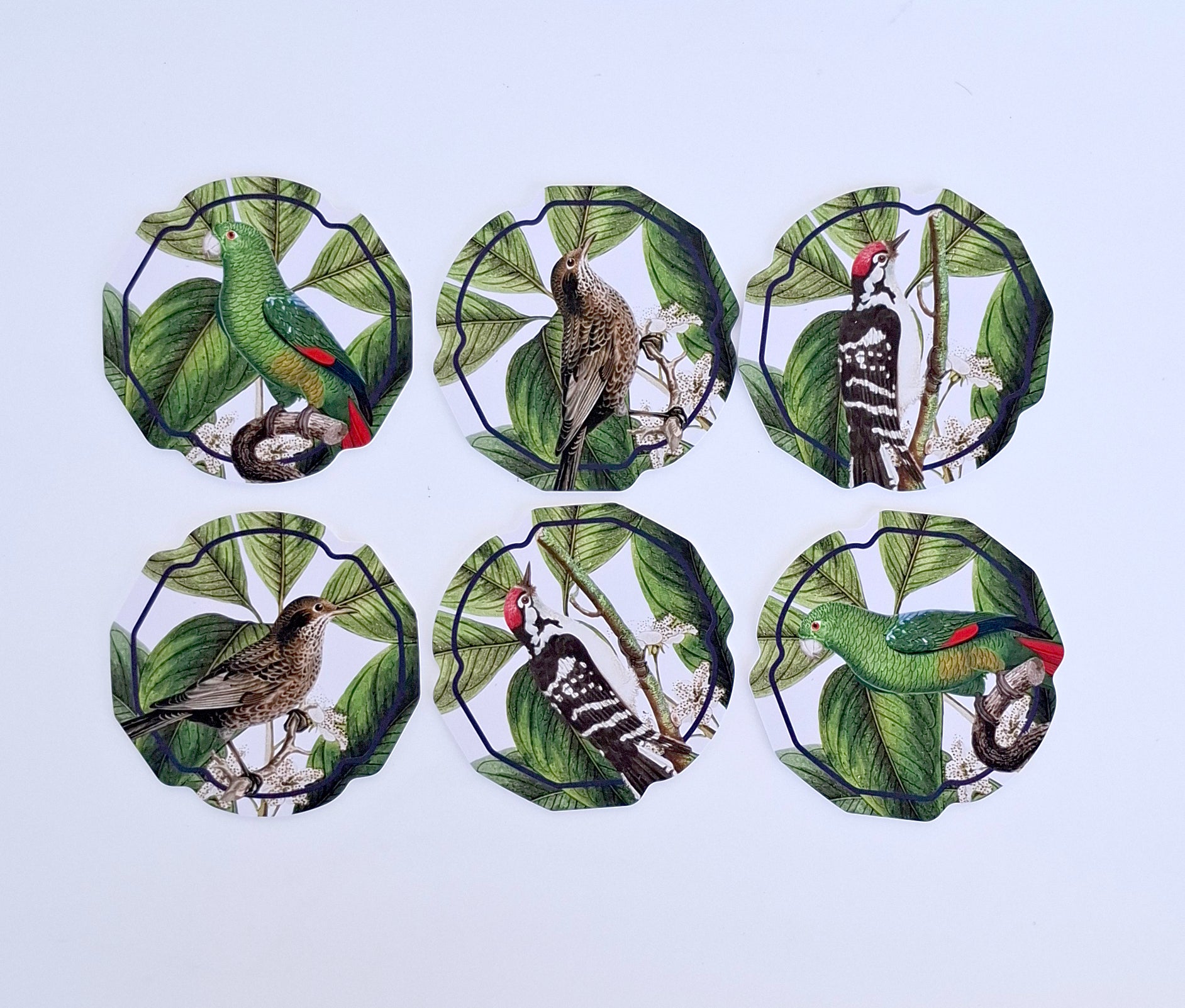 Set de 6 Posavasos Pájaros – Colección “Creado x Coty Abbott"