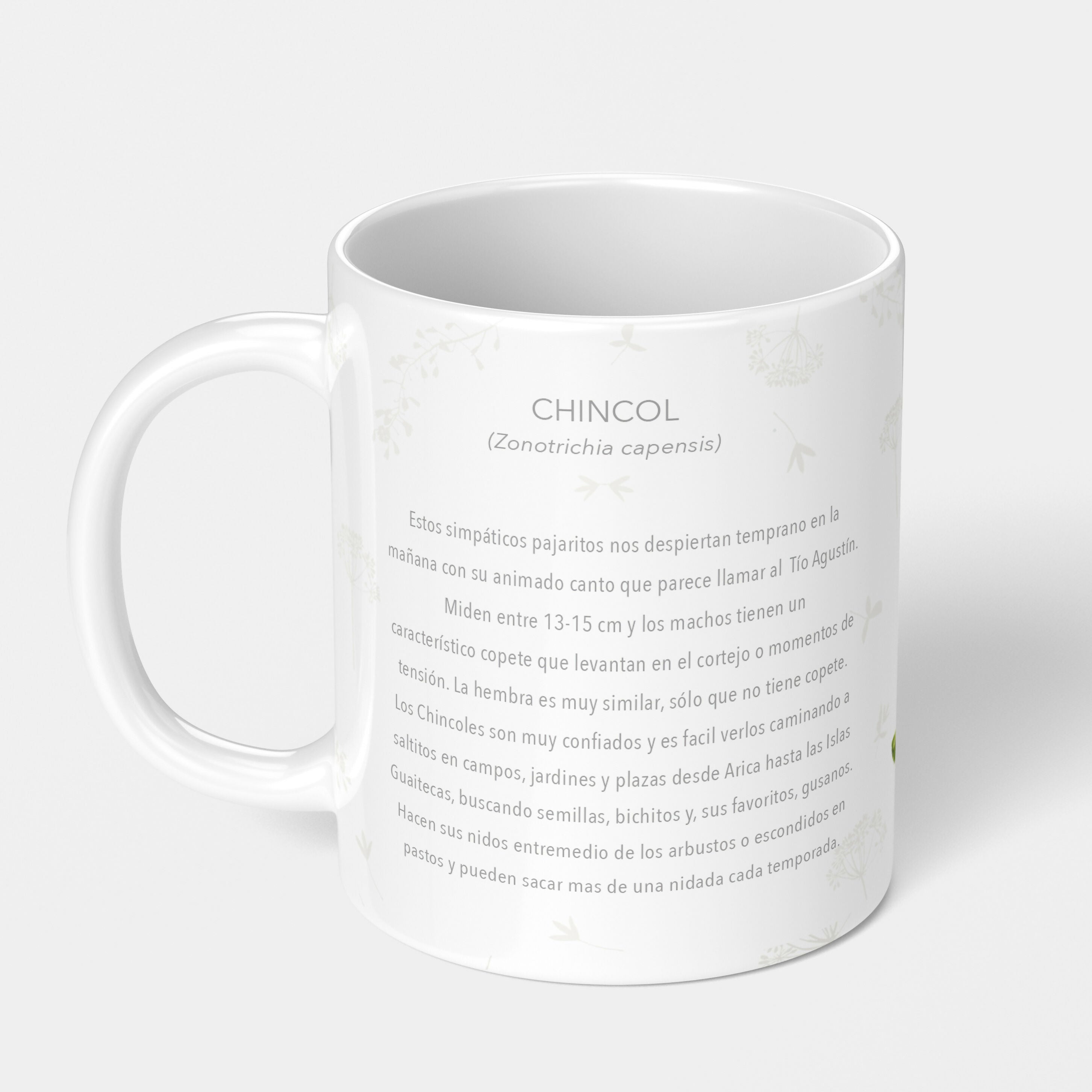 Chincol tazon post 3