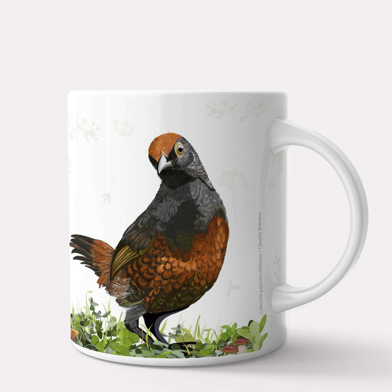 Huedhued tazon post2