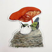 iman picaflor fondo blanco