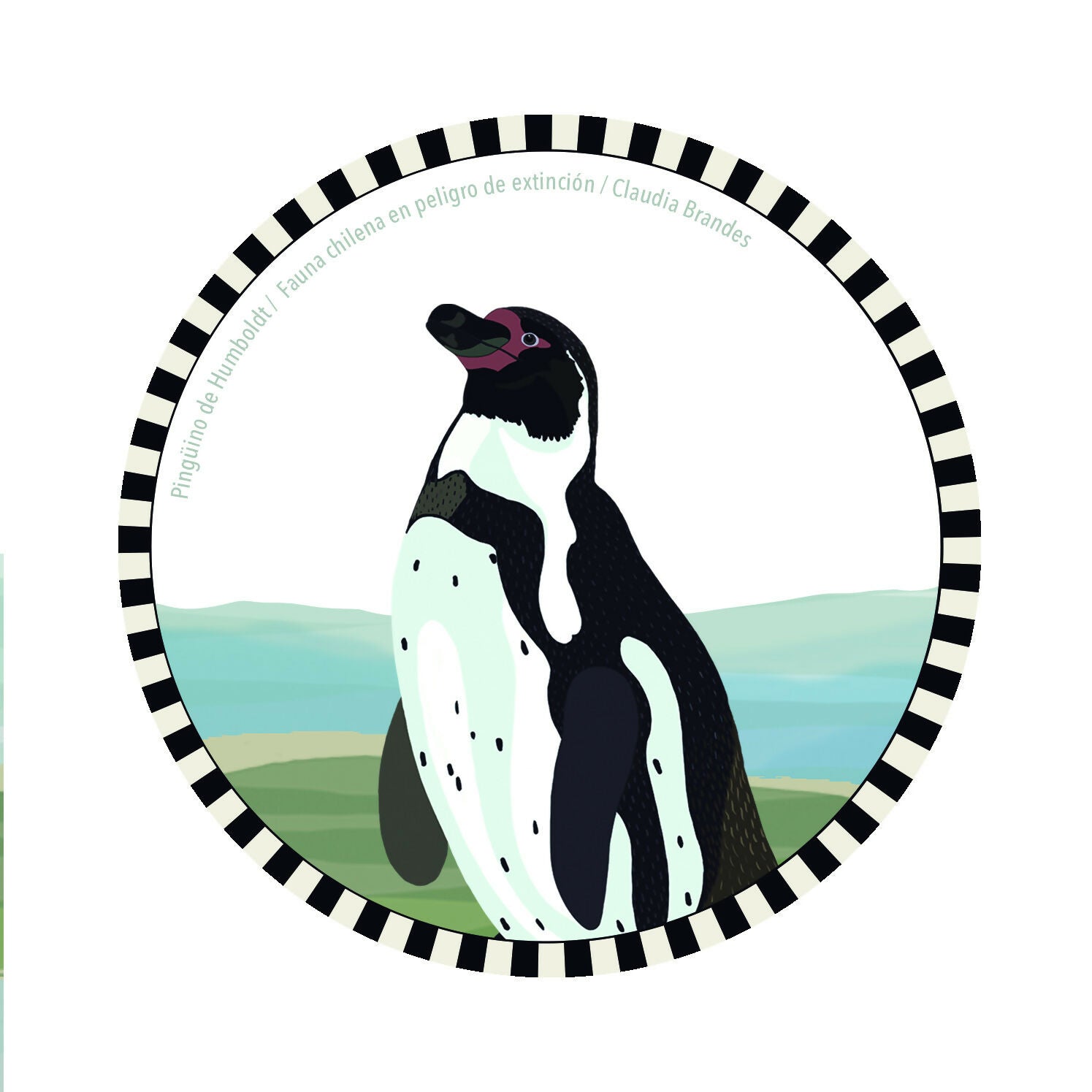 Set 6 Posavasos Fauna chilena en peligro (6 ilustraciones diferentes )