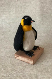 Pinguino Rey Ave Chilena