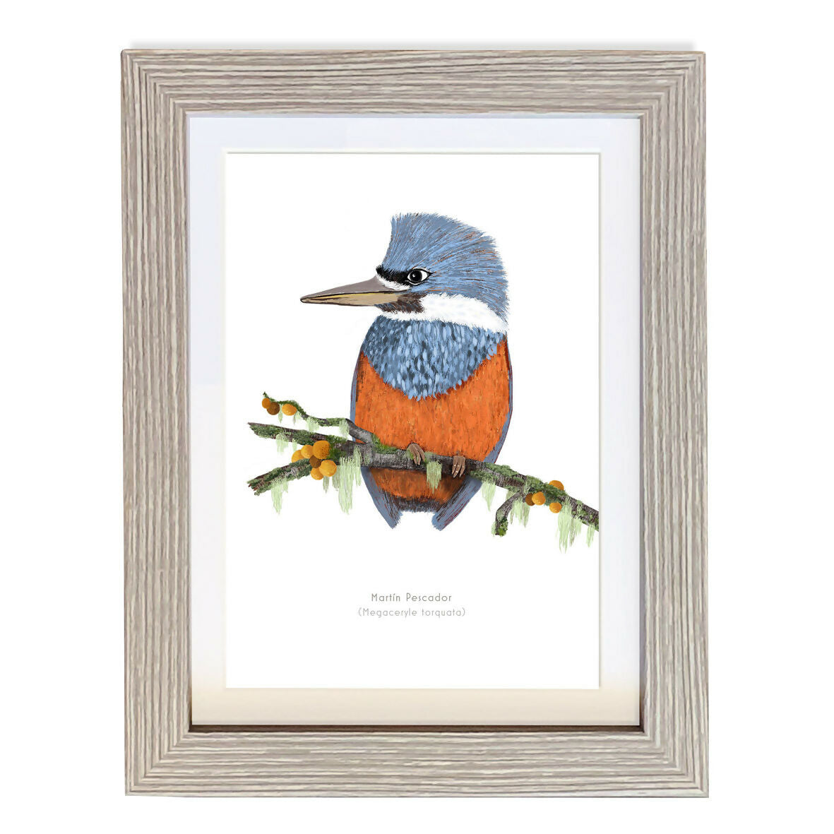 CUADRO A1 MARTIN BLANCO