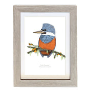 CUADRO A1 MARTIN BLANCO