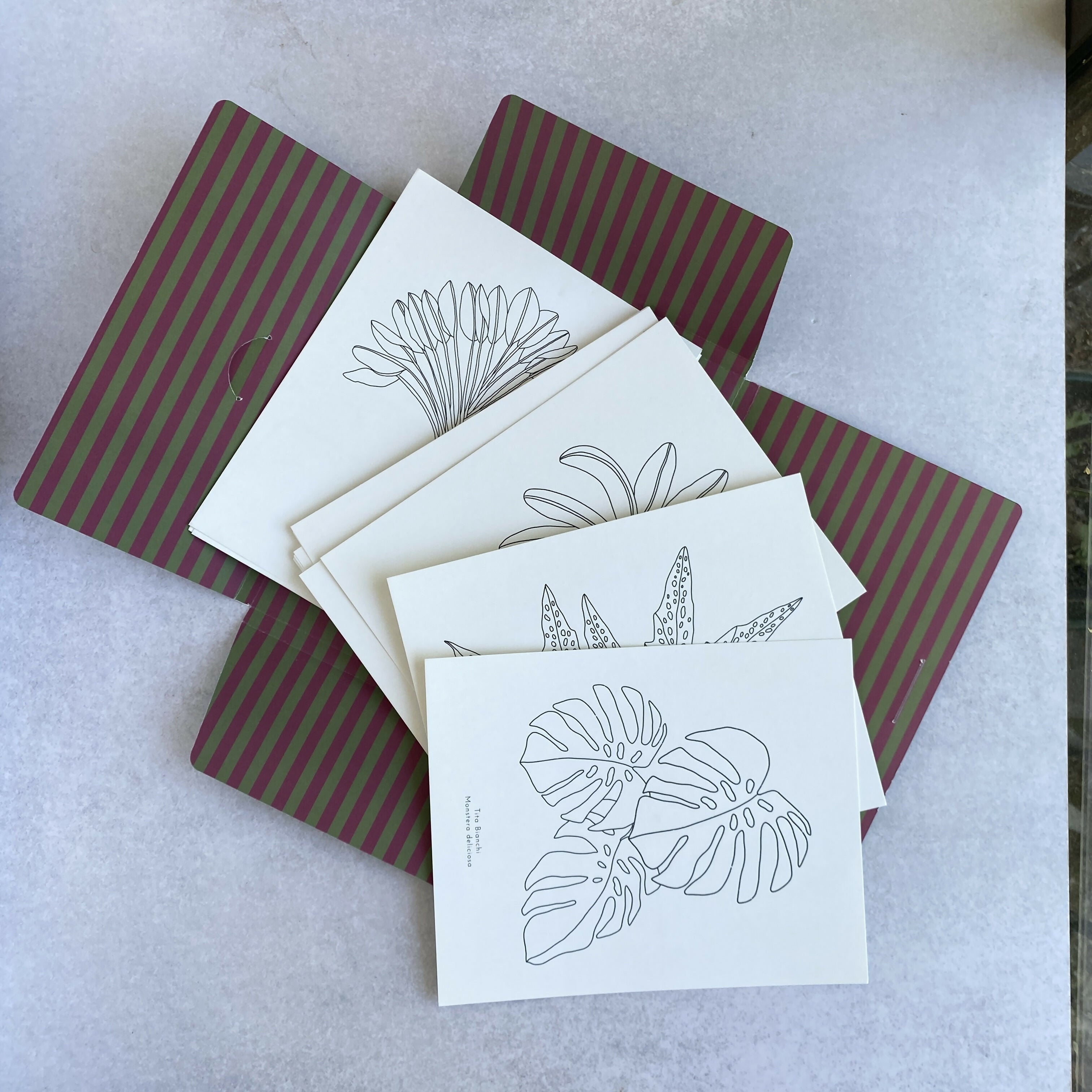 Carpeta Selva con 22 láminas para pintar